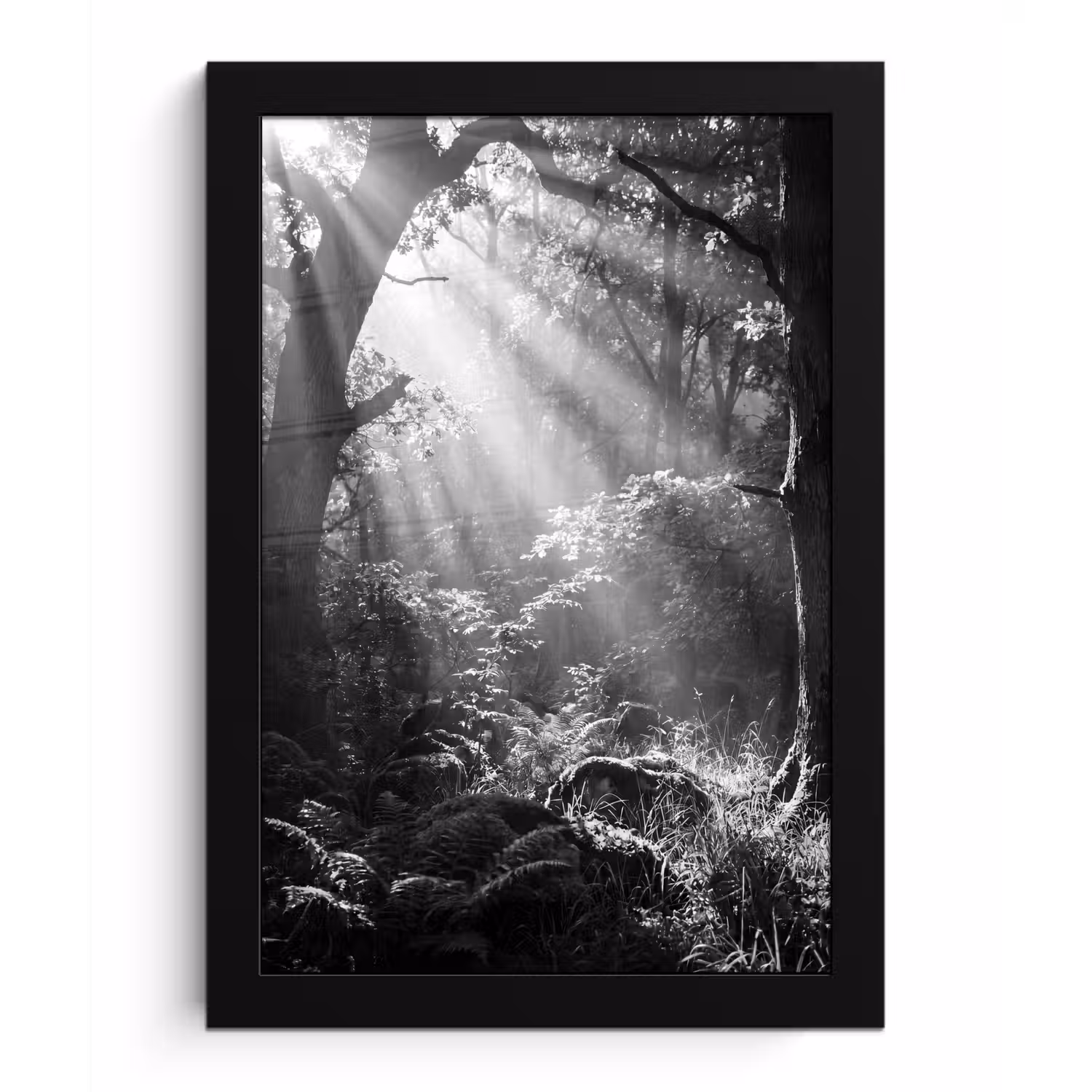Bos - Lichtstralen - Natuur - Zwart-wit fotolijst zwart zonder passe partout klein -3d