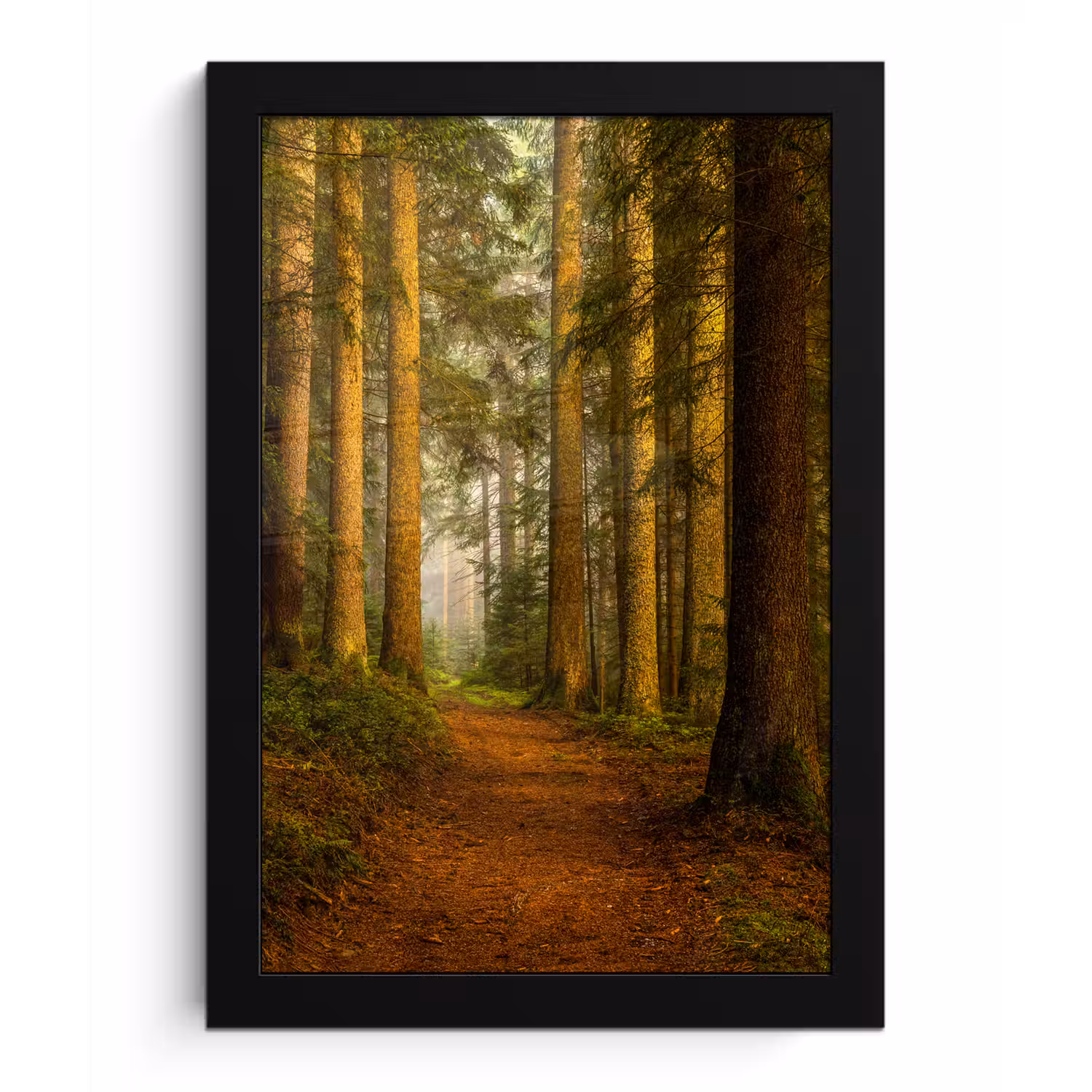 Bos - Natuur - Bomen - Landschap - Bladeren fotolijst zwart zonder passe partout klein -3d