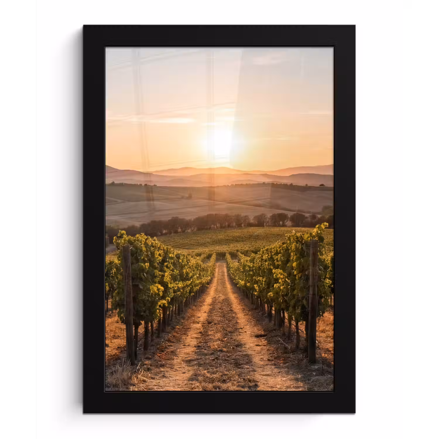 Wijngaard - Zonsondergang - Landschap fotolijst zwart zonder passe partout klein -3d