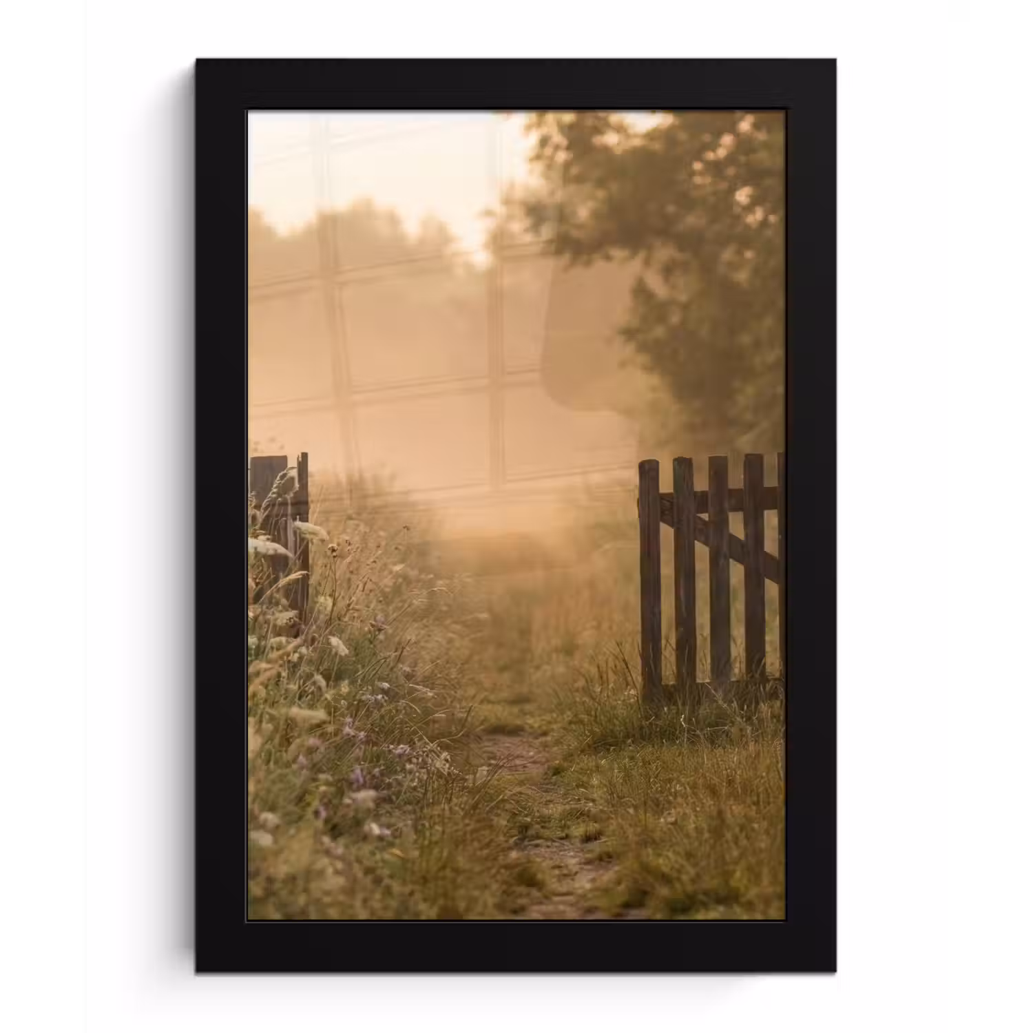 Hek - Natuur - Mist - Veld fotolijst zwart zonder passe partout klein -3d