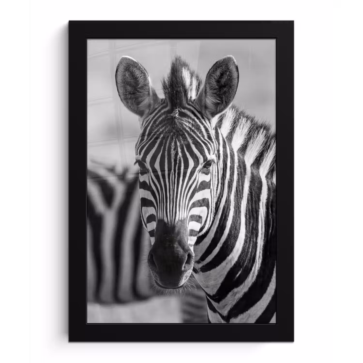 Zebra's - Zwart - Wit fotolijst zwart zonder passe partout klein -3d