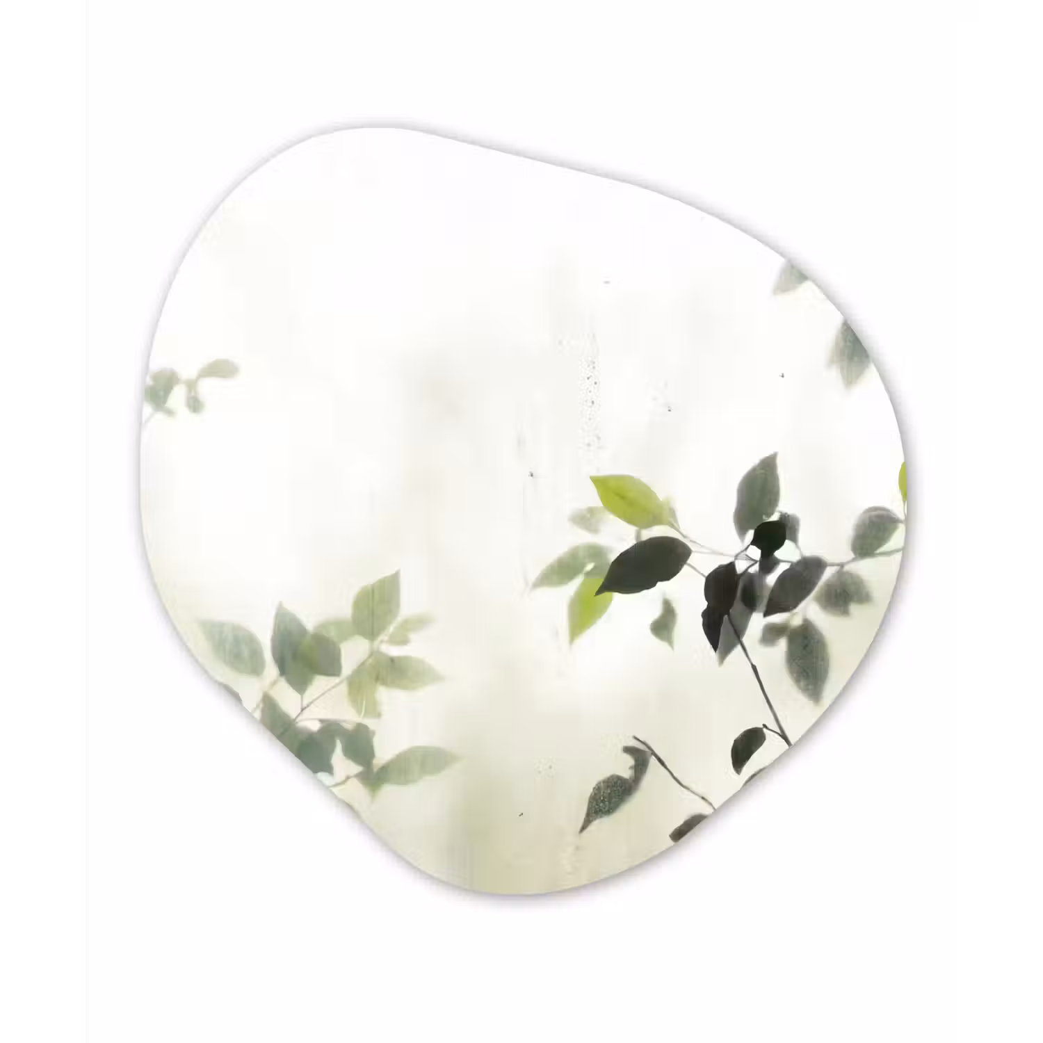 Blad - Schaduw - Natuur - Abstract - Groen Wandcirkel Organisch Forex 3mm klein -3d