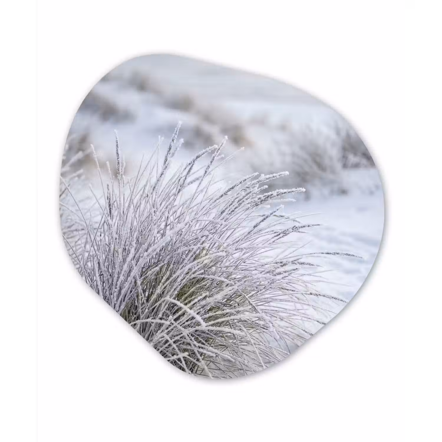 Duinen - Sneeuw - Strand - Winter - Serene Wandcirkel Organisch Forex 3mm klein -3d