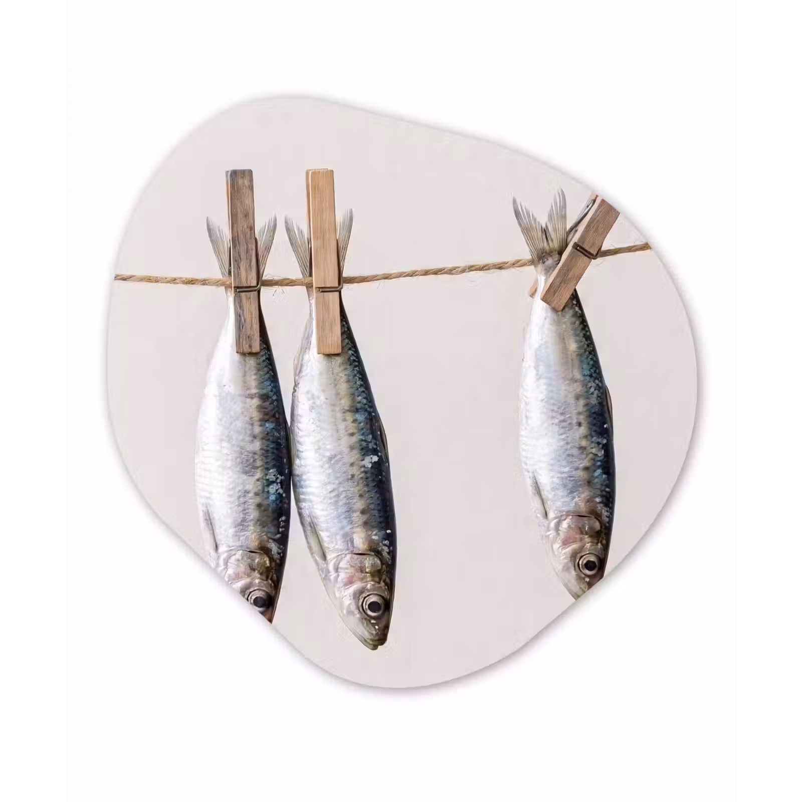 Forexbild Organische Form - Fisch – Hängend – Essen - Vis - Hangend - Eten Wandcirkel Organisch Forex 3mm klein