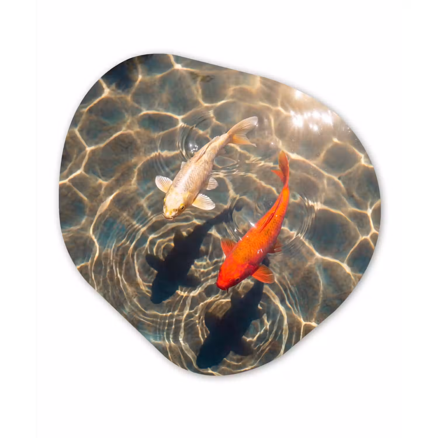 Vis - Water - Dieren - Oranje - Goud Wandcirkel Organisch Forex 3mm klein -3d