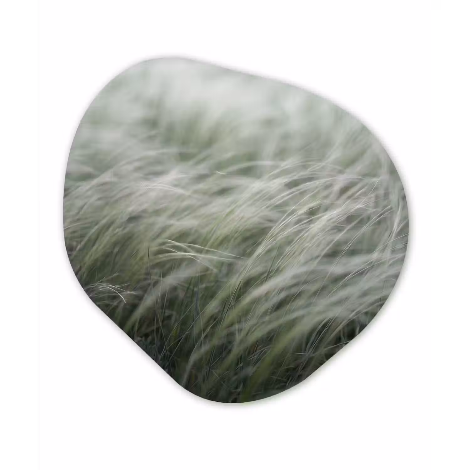 Gras - Wazig - Natuur - Groen - Zacht Wandcirkel Organisch Forex 3mm klein -3d