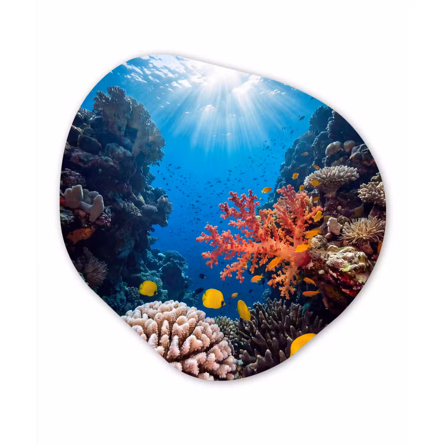 Zee - Koraalrif - Natuur - Levendig - Blauw Wandcirkel Organisch Forex 3mm klein -3d