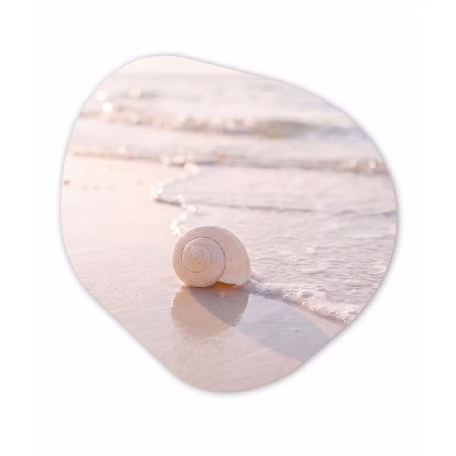 Zeeschelp - Strand - Zee - Natuur - Beige Wandcirkel Organisch Forex 3mm klein -3d
