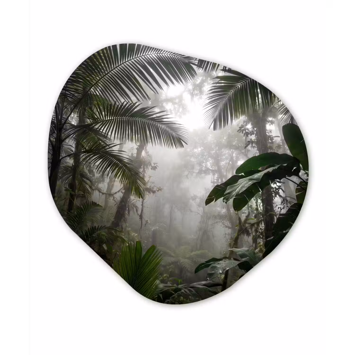 Natuur - Jungle - Mist - Groen - Bladeren Wandcirkel Organisch Forex 3mm klein -3d