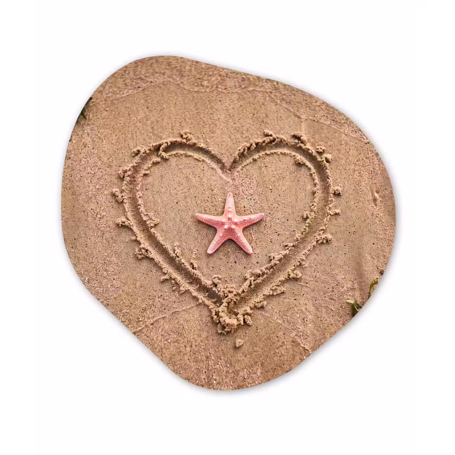 Dieren - Hart - Strand - Zand - Roze Wandcirkel Organisch Forex 3mm klein -3d