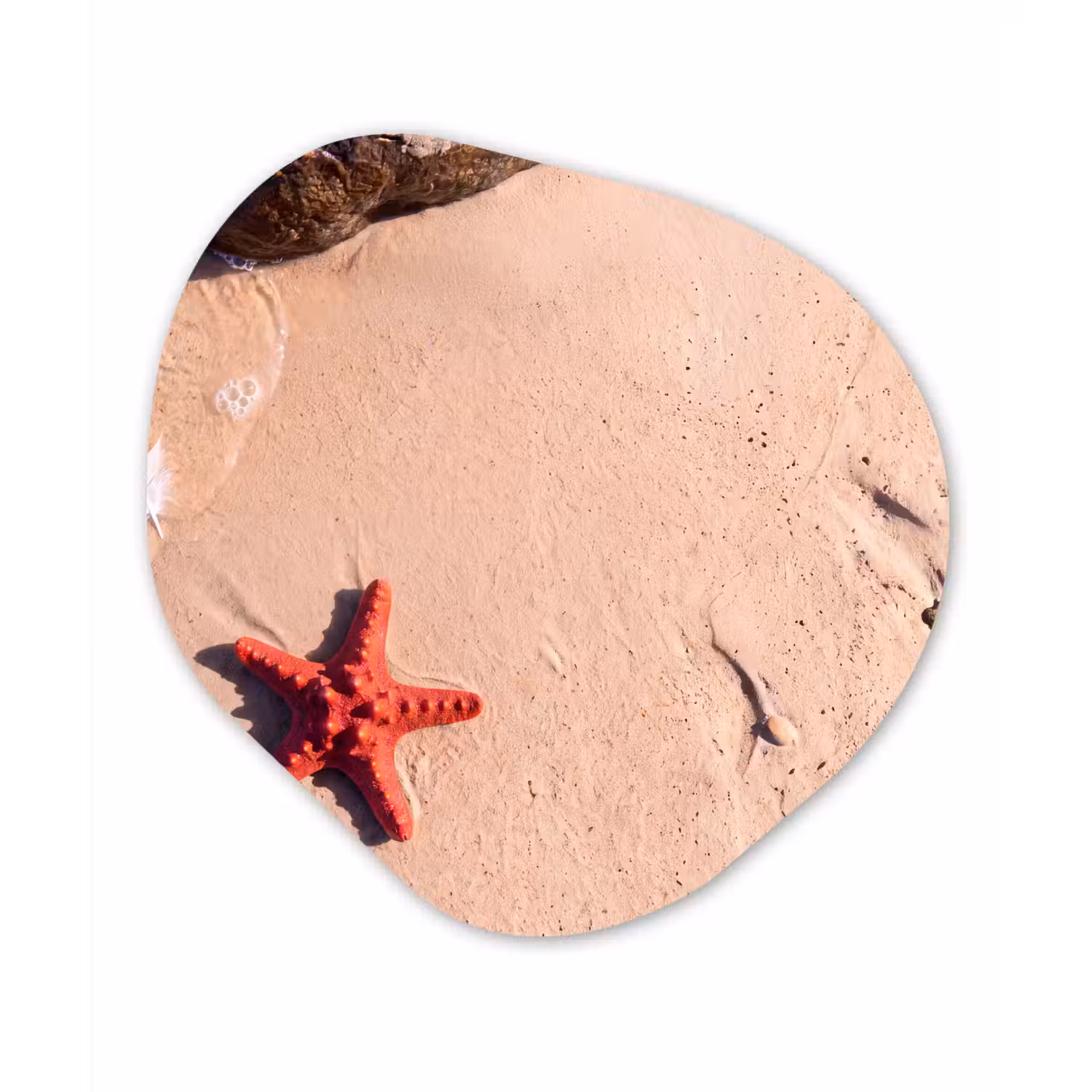 Dieren - Strand - Zee - Natuur - Rood Wandcirkel Organisch Forex 3mm klein -3d
