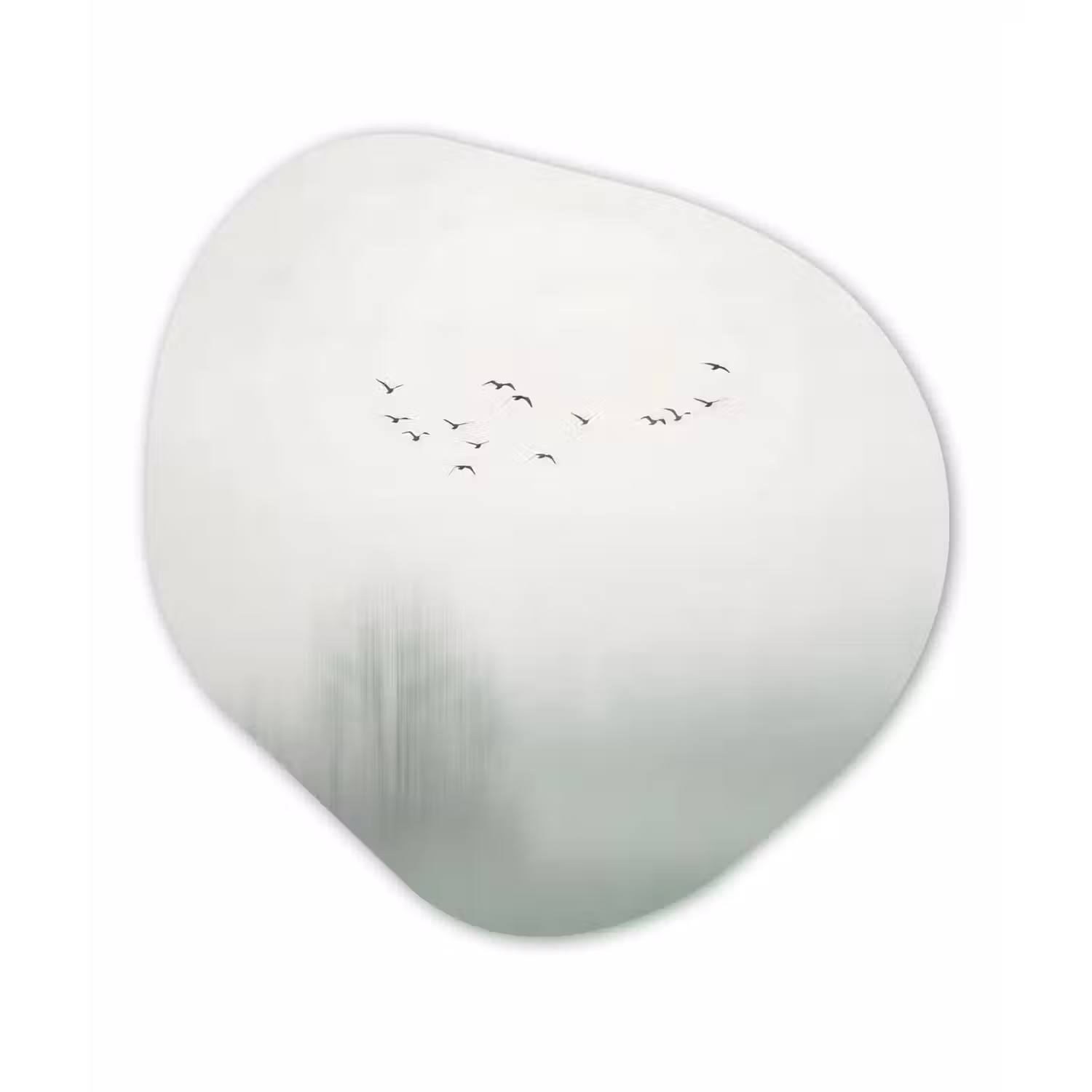 Vogel - Vlucht - Natuur - Minimalistisch Wandcirkel Organisch Forex 3mm klein -3d