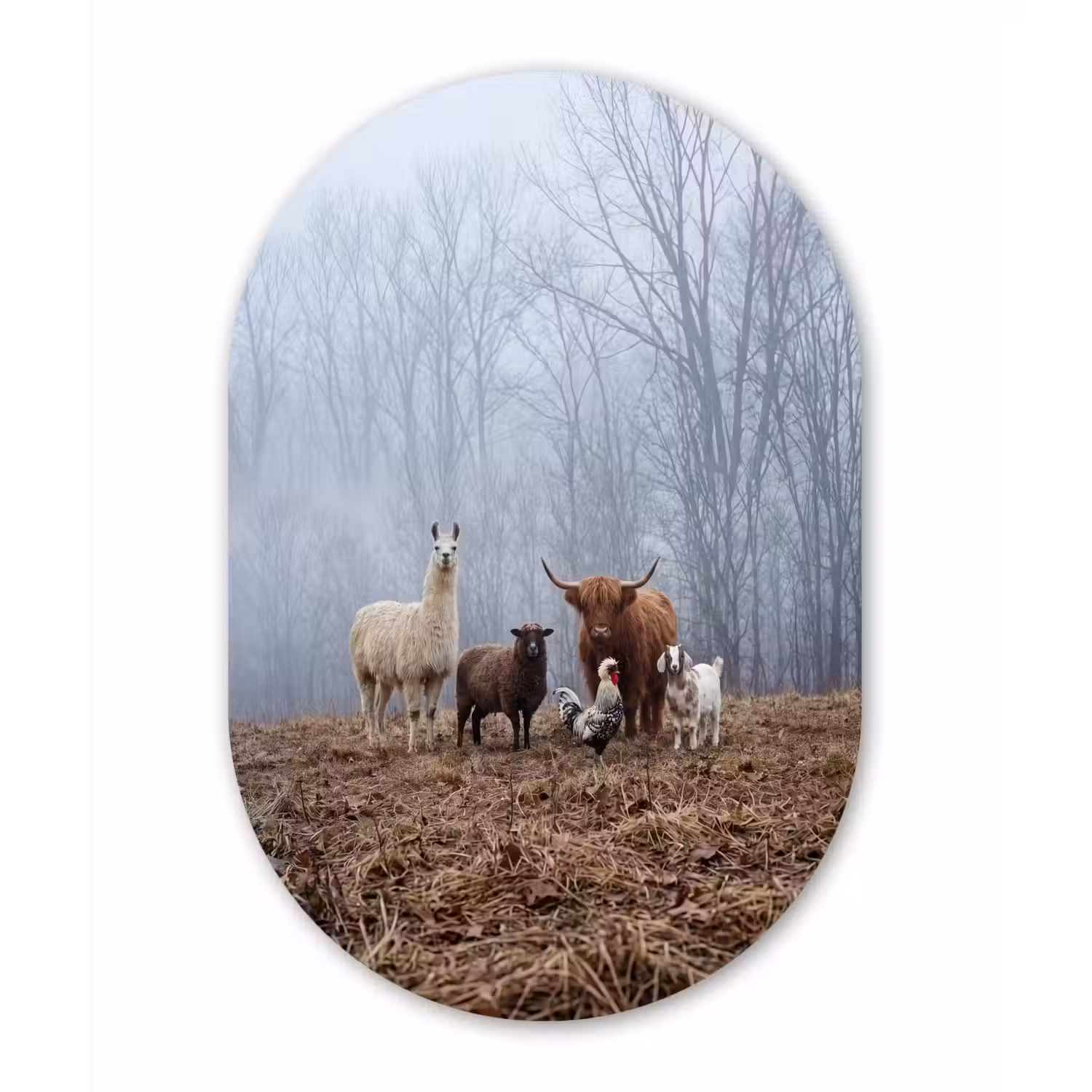 Boerderijdieren - Groep - Mist - Natuur - Rustiek Wandcirkel Ovaal Forex klein -3d