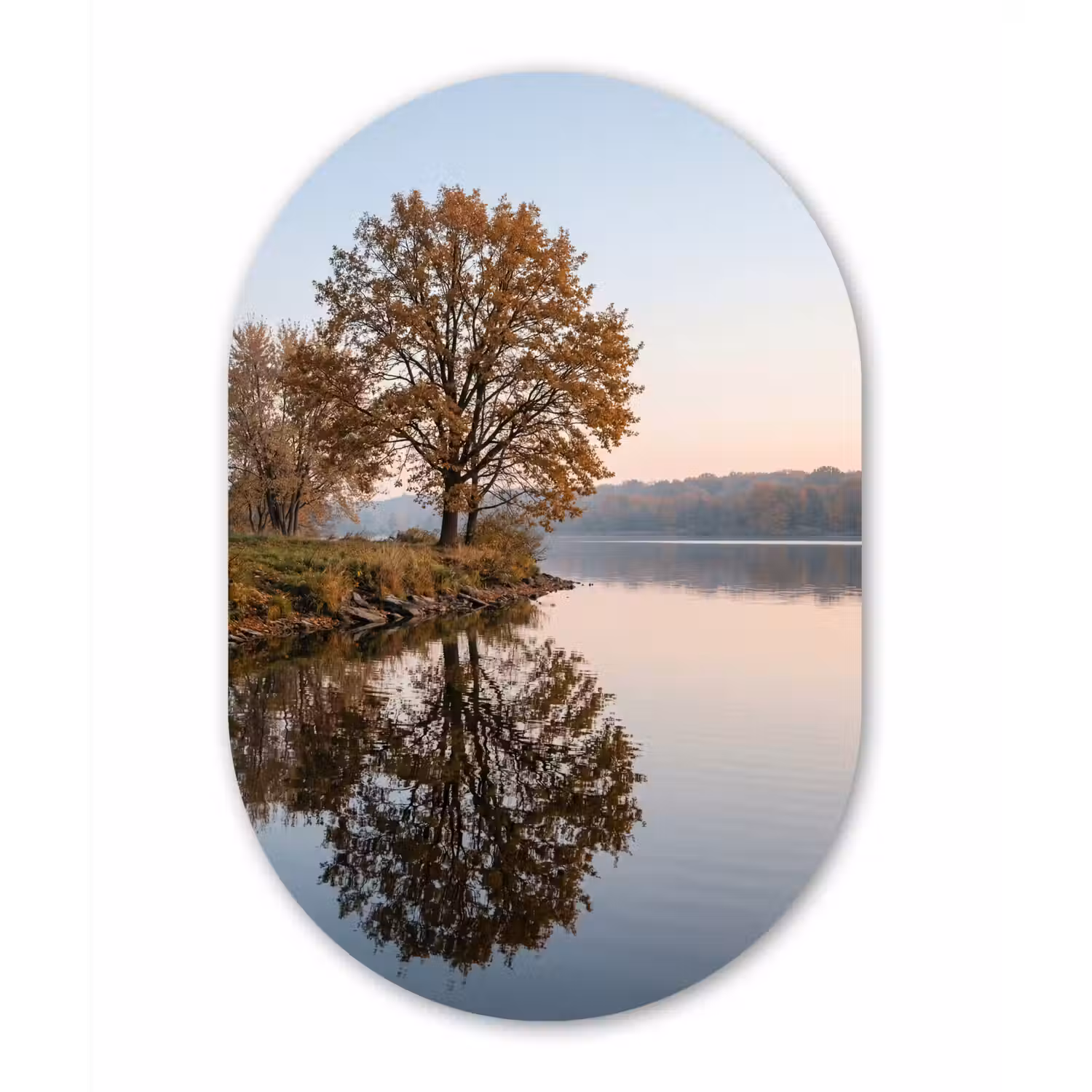 Bomen - Reflectie - Water - Zonsopgang - Serene Wandcirkel Ovaal Forex klein -3d