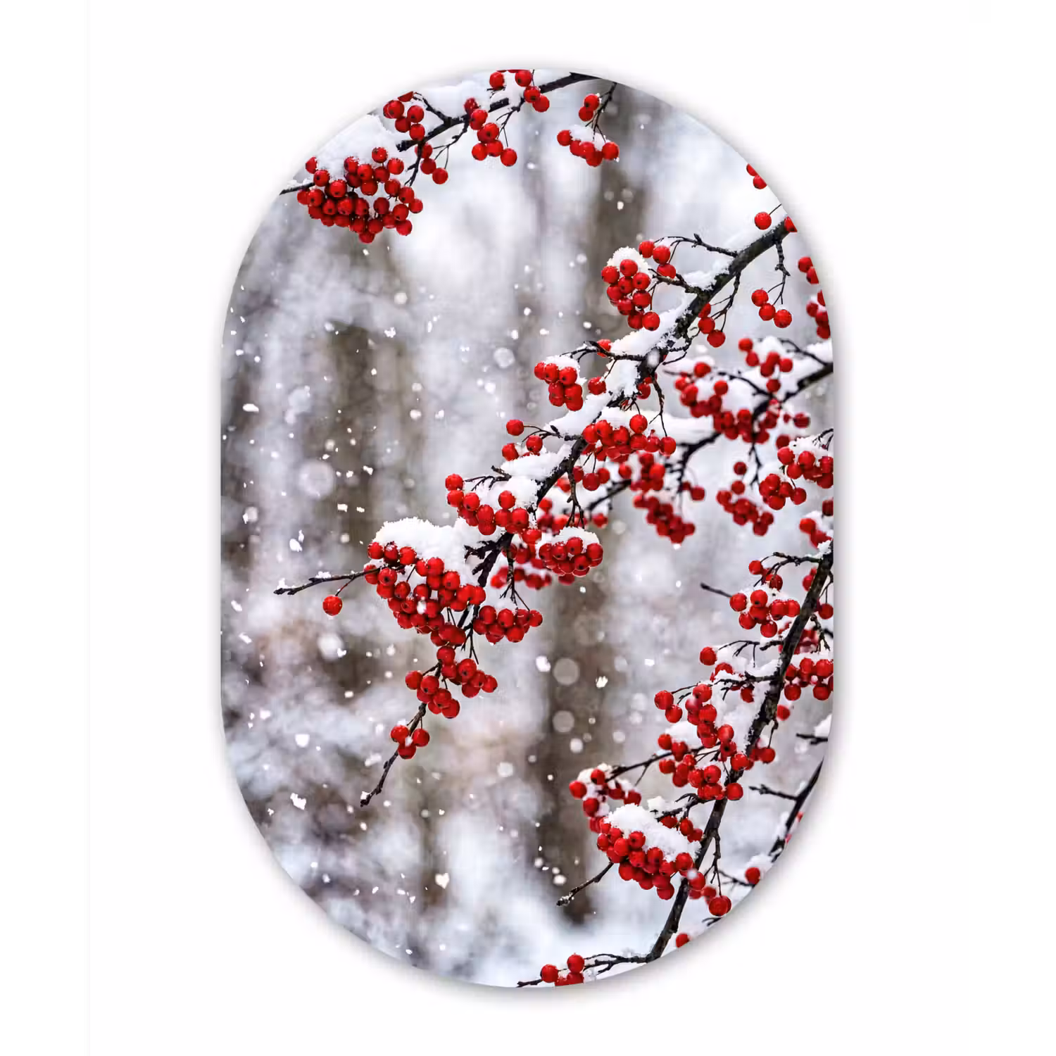 Bessen - Takken - Sneeuw - Winter - Kleurrijk Wandcirkel Ovaal Forex klein -3d