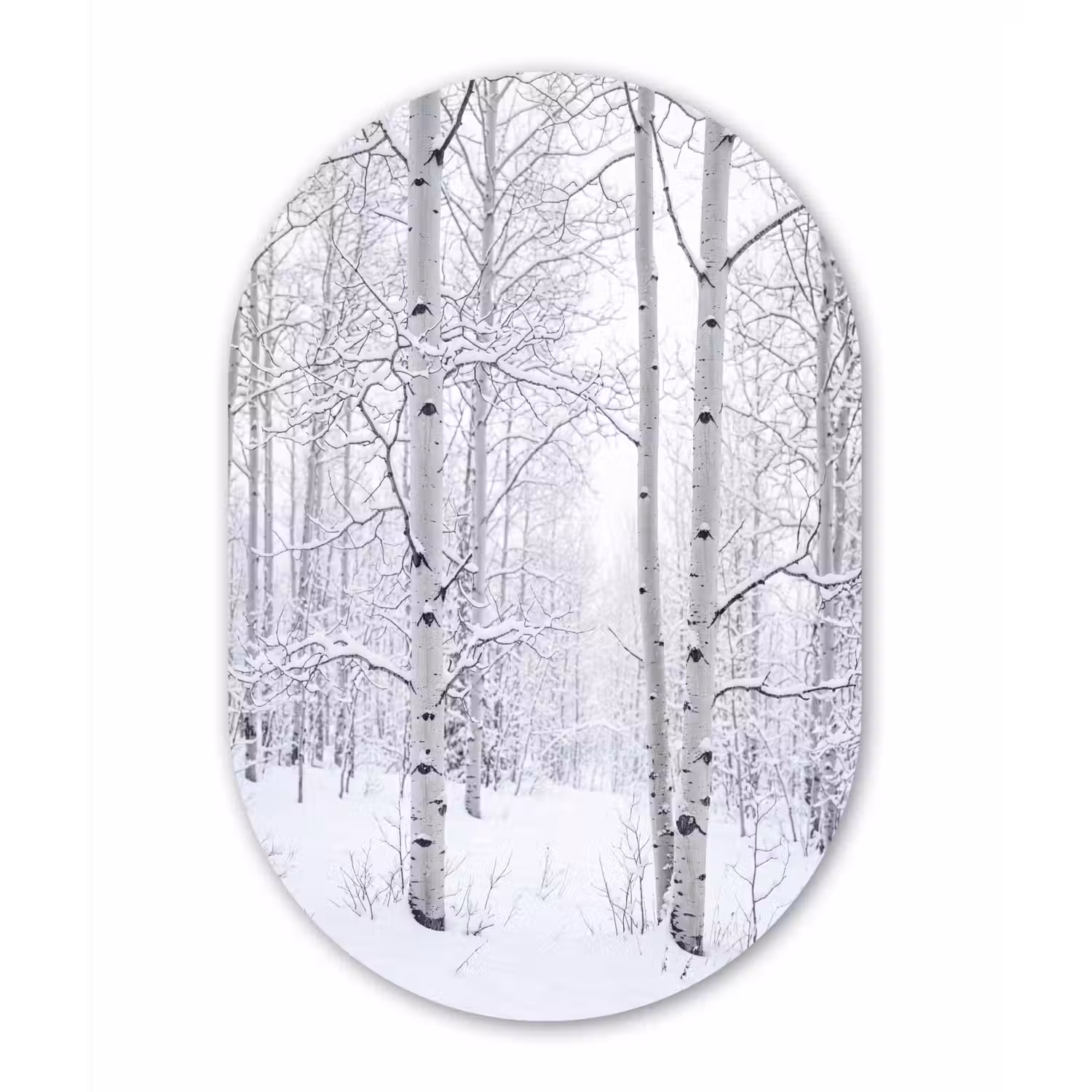 Berkenbomen - Sneeuw - Winter - Bos - Wit Wandcirkel Ovaal Forex klein -3d
