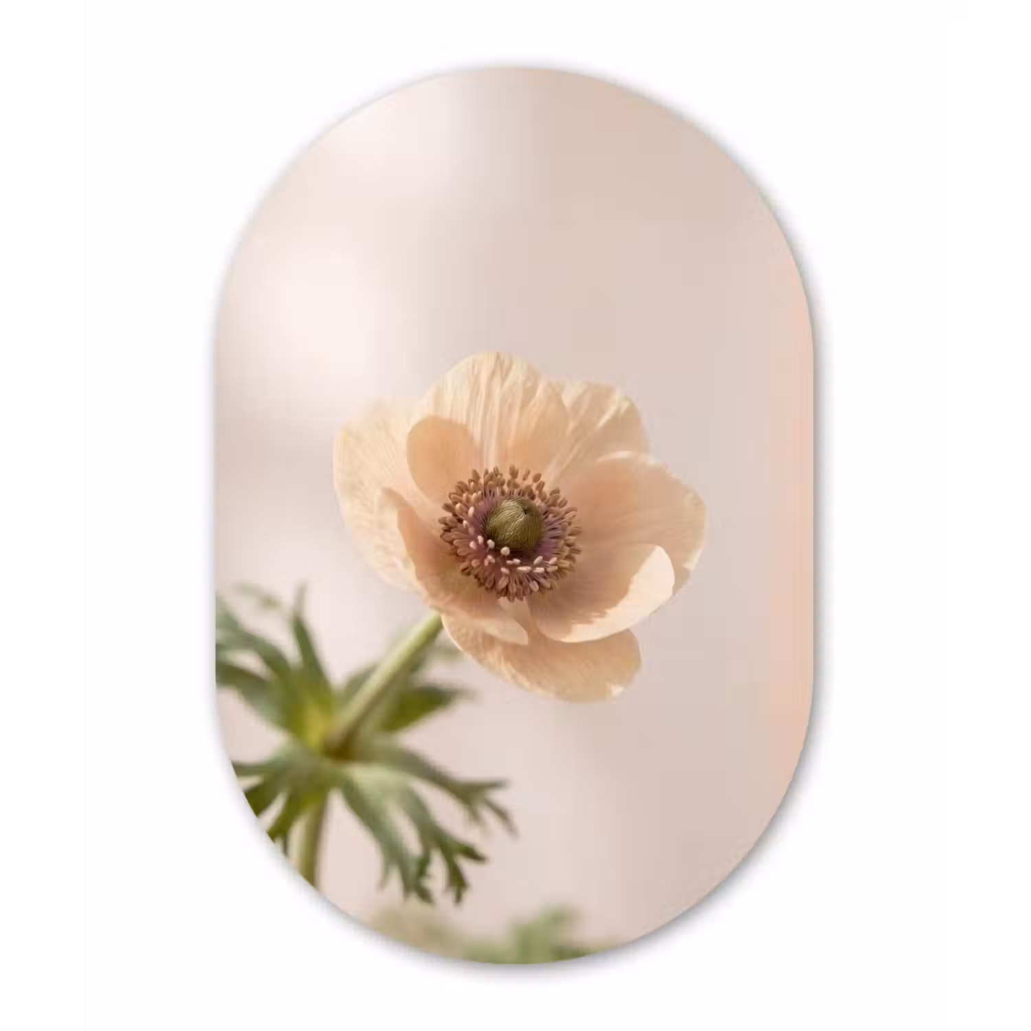 Bloem - Minimalistisch - Groen Wandcirkel Ovaal Forex klein -3d