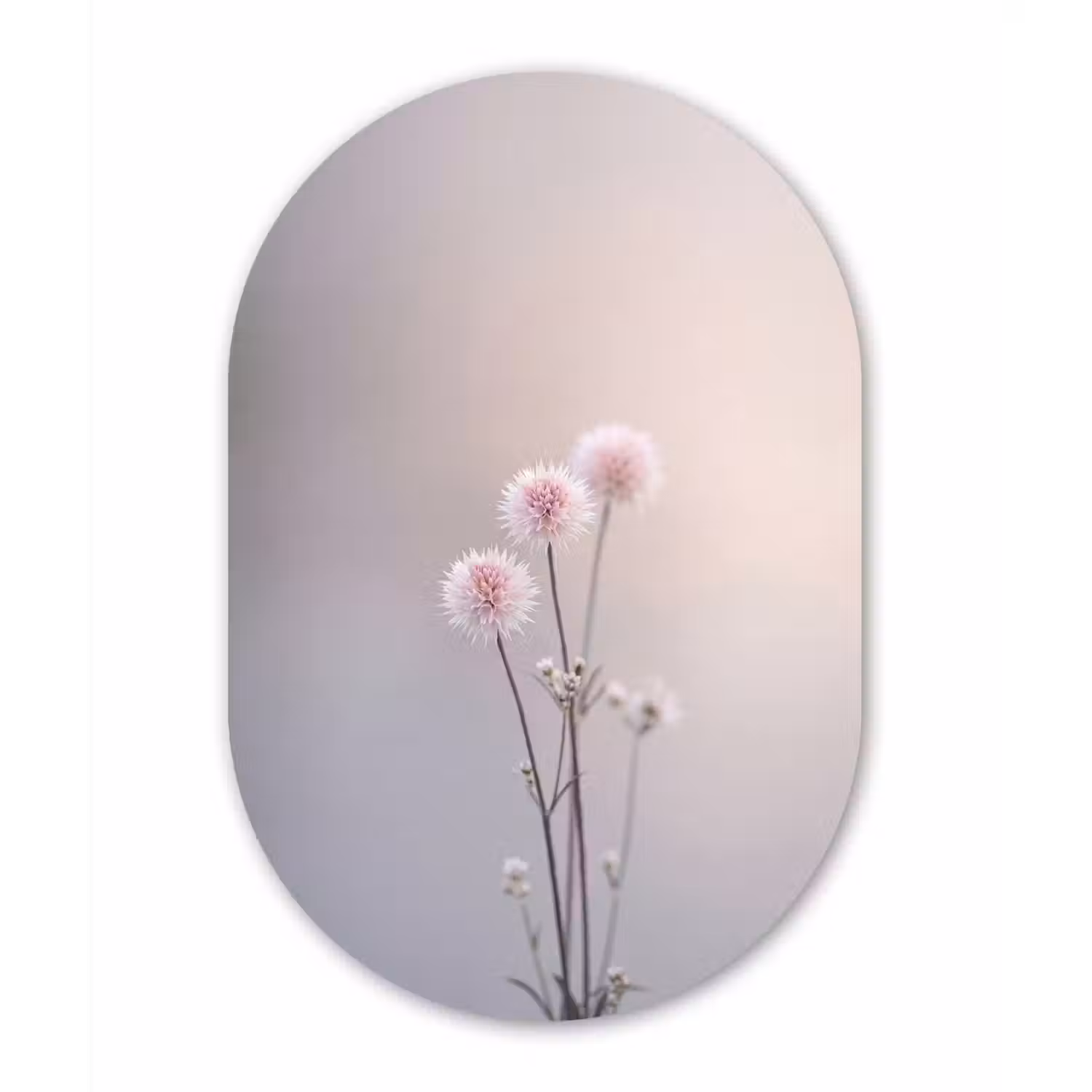 Bloemen - Bollen - Roze Wandcirkel Ovaal Forex klein -3d