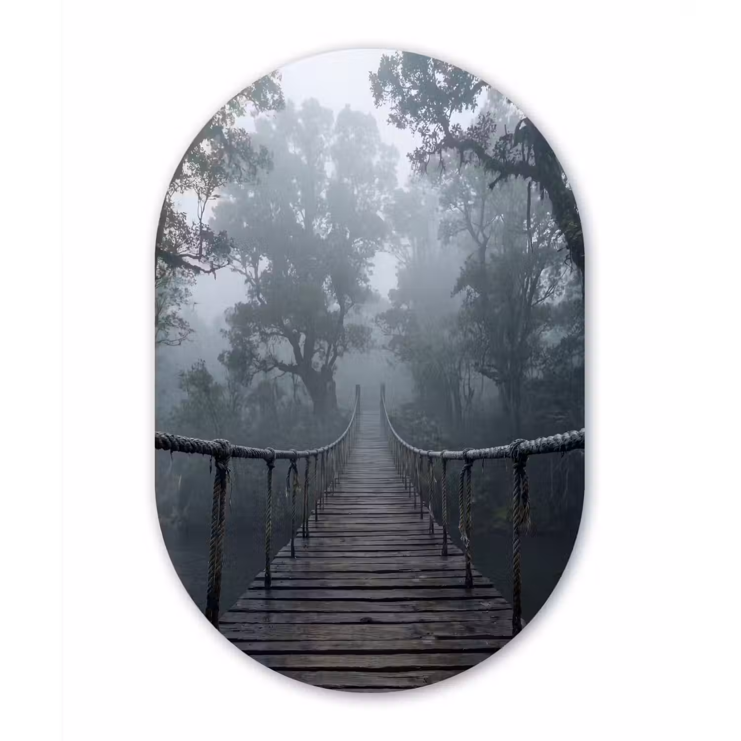 Brug - Jungle - Mist - Natuur Wandcirkel Ovaal Forex klein -3d