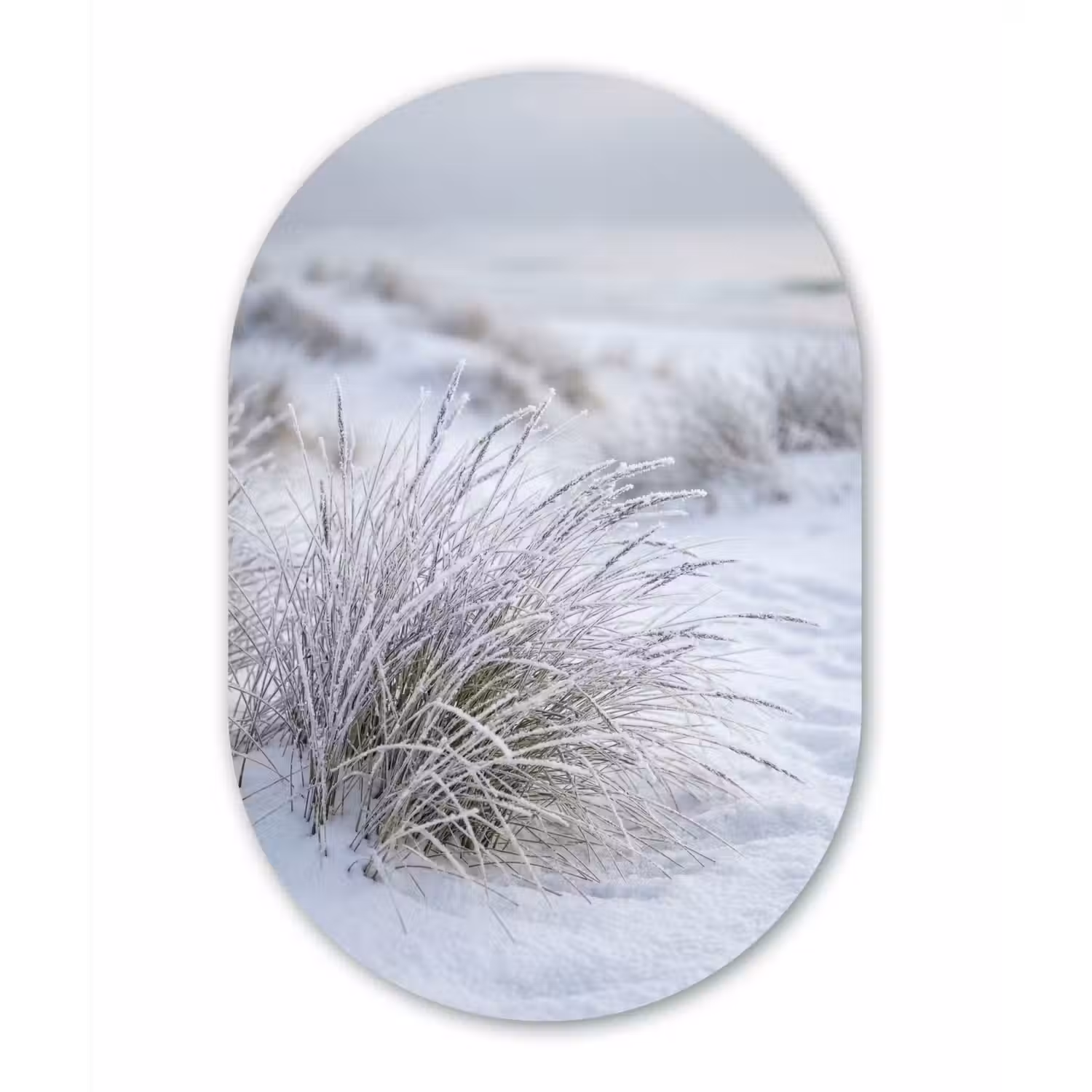 Duinen - Sneeuw - Strand - Winter - Serene Wandcirkel Ovaal Forex klein -3d