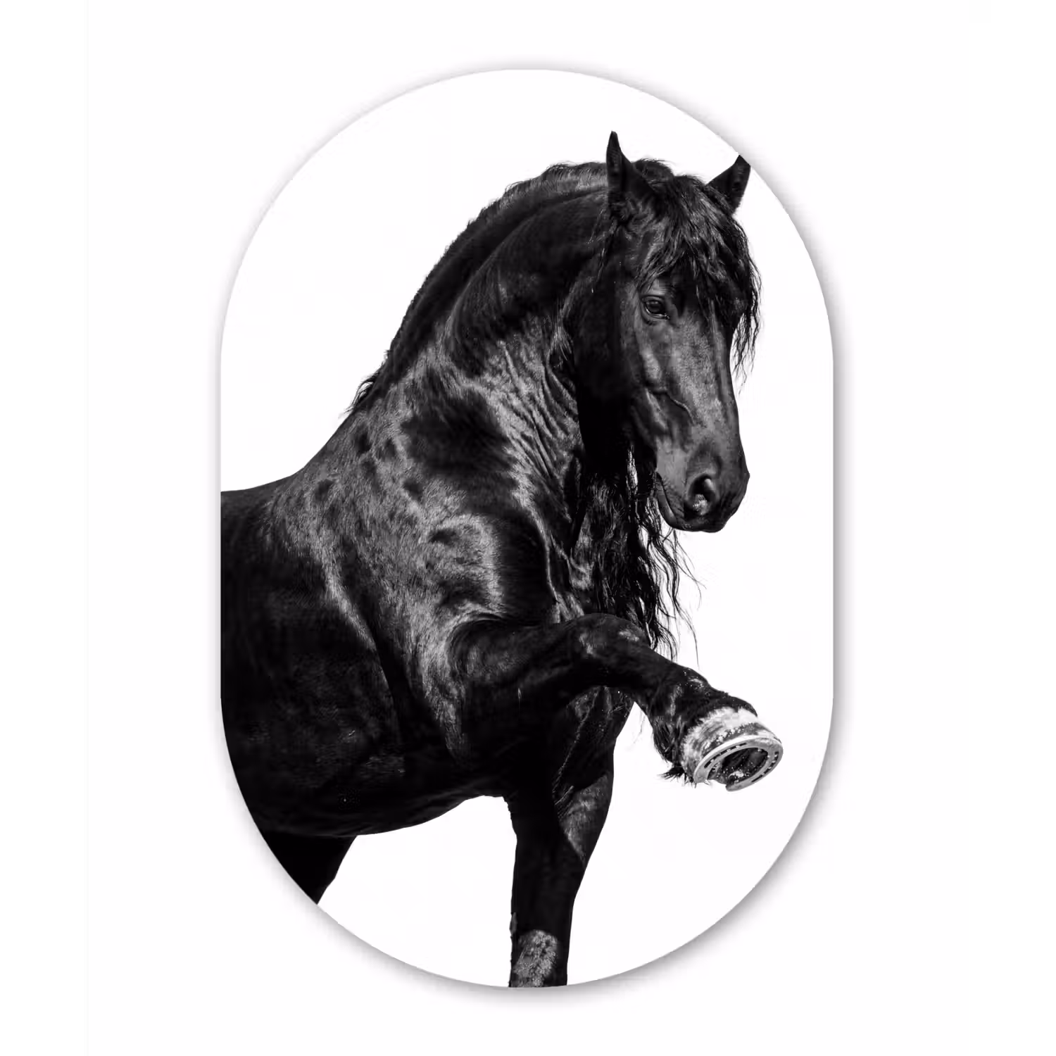 Fries - Hengst - Modern Wandcirkel Ovaal Forex klein -3d