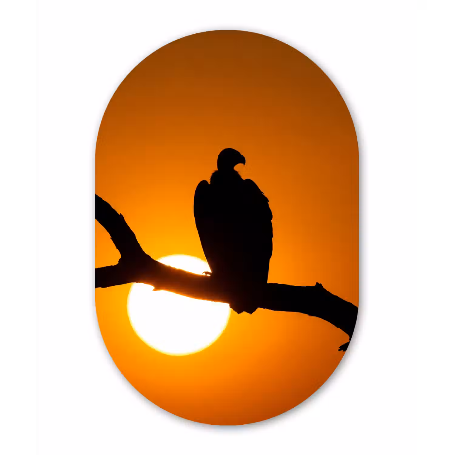 Gier - Tak - Zon - Oranje Wandcirkel Ovaal Forex klein -3d