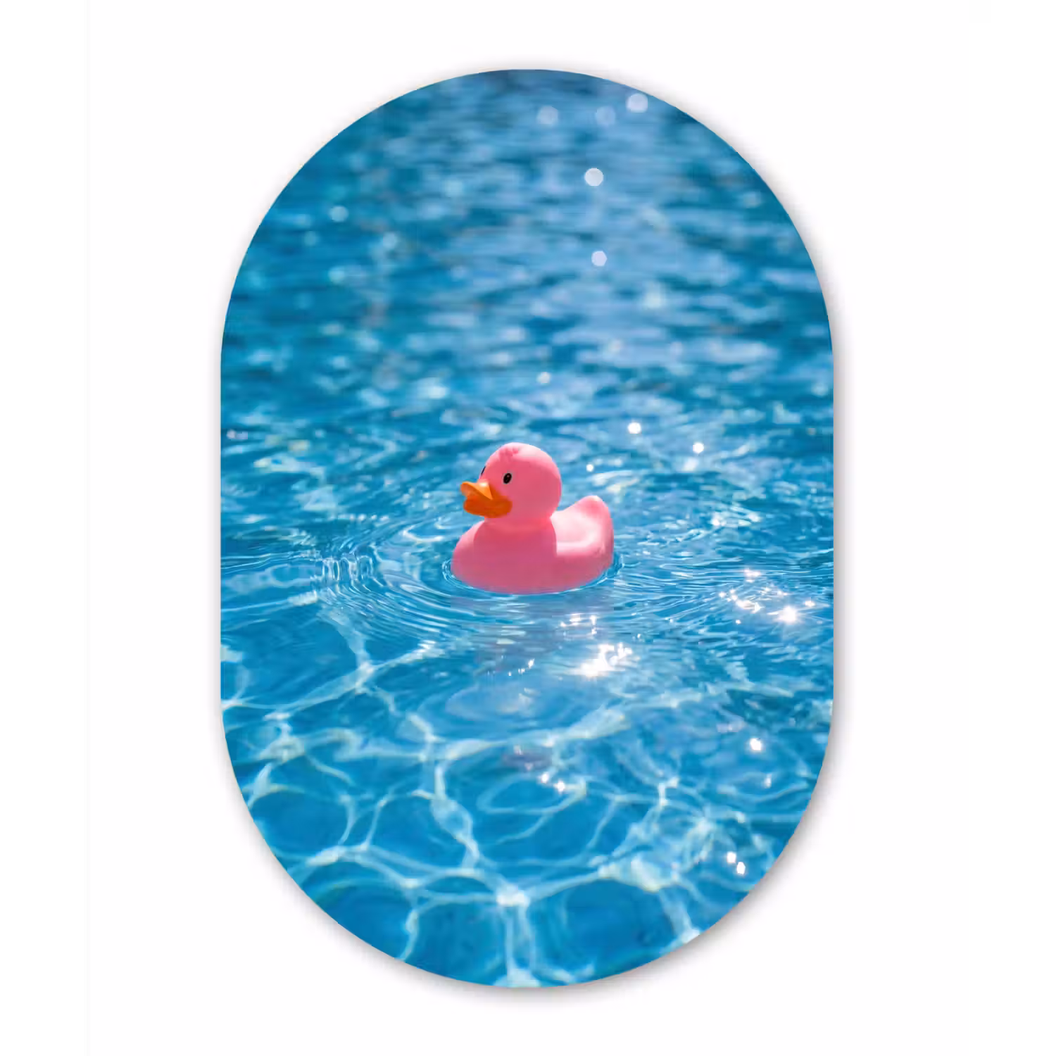 Badeend - Dobberend - Roze Wandcirkel Ovaal Forex klein -3d