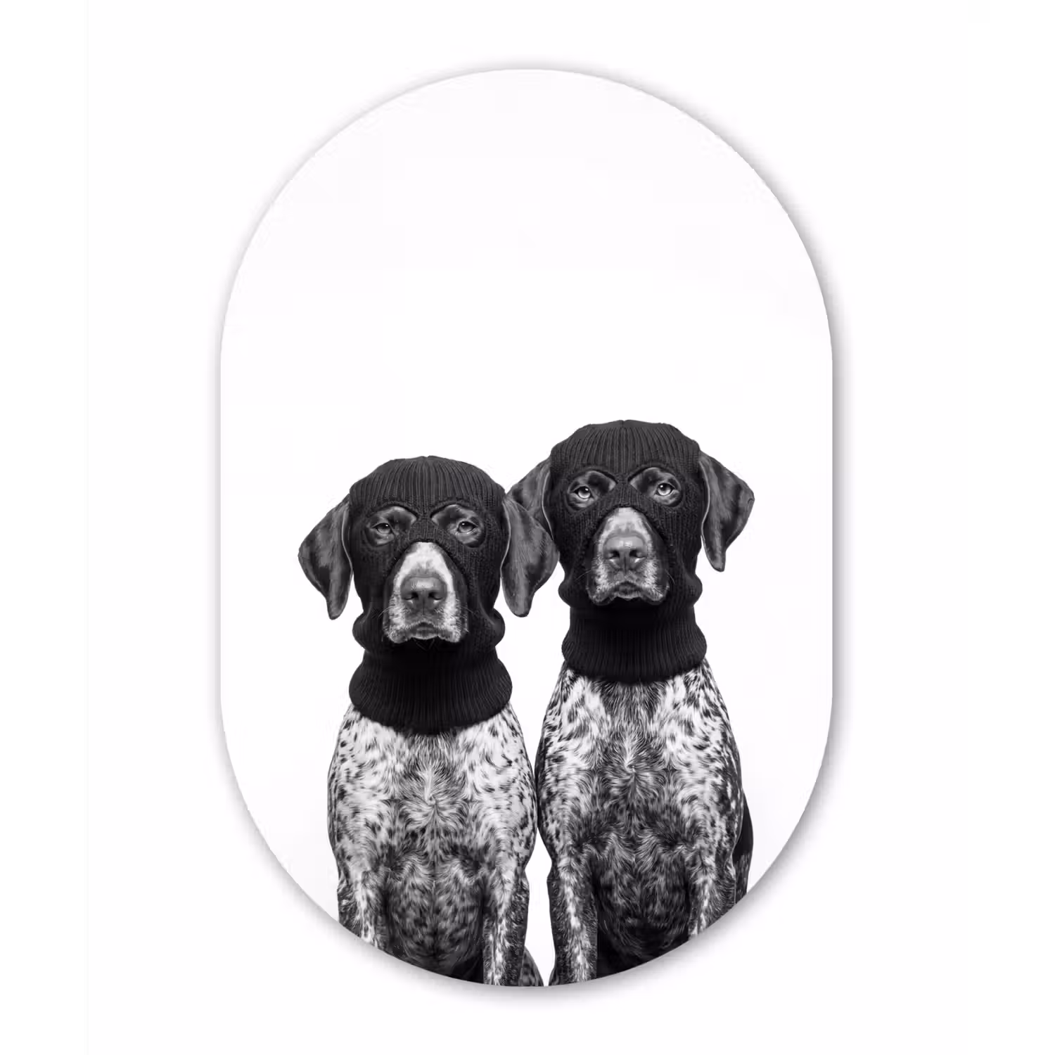 Honden - Bivakmuts - Zwart - wit Wandcirkel Ovaal Forex klein -3d