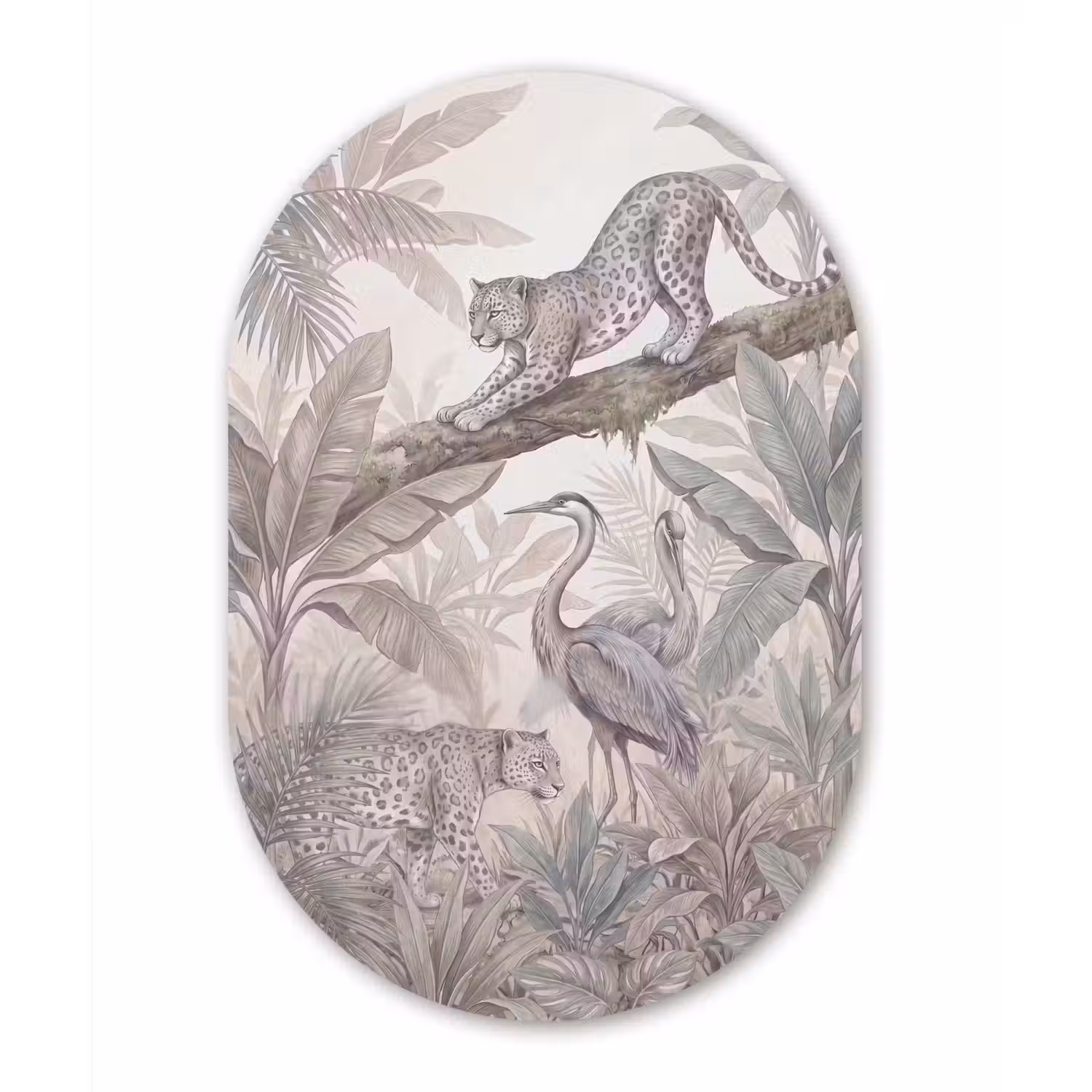 Kat - Vogel - Jungle - Illustratie - Dieren Wandcirkel Ovaal Forex klein -3d