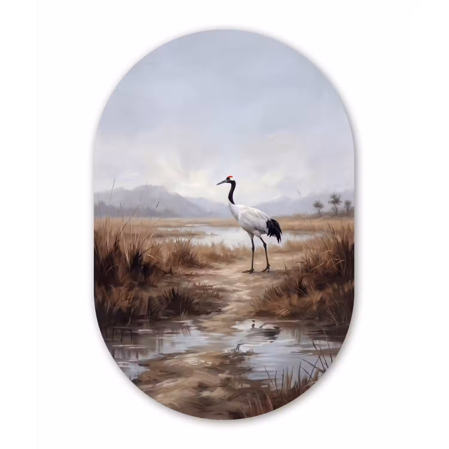 Kraanvogel - Natuur - Realistisch Wandcirkel Ovaal Forex klein -3d