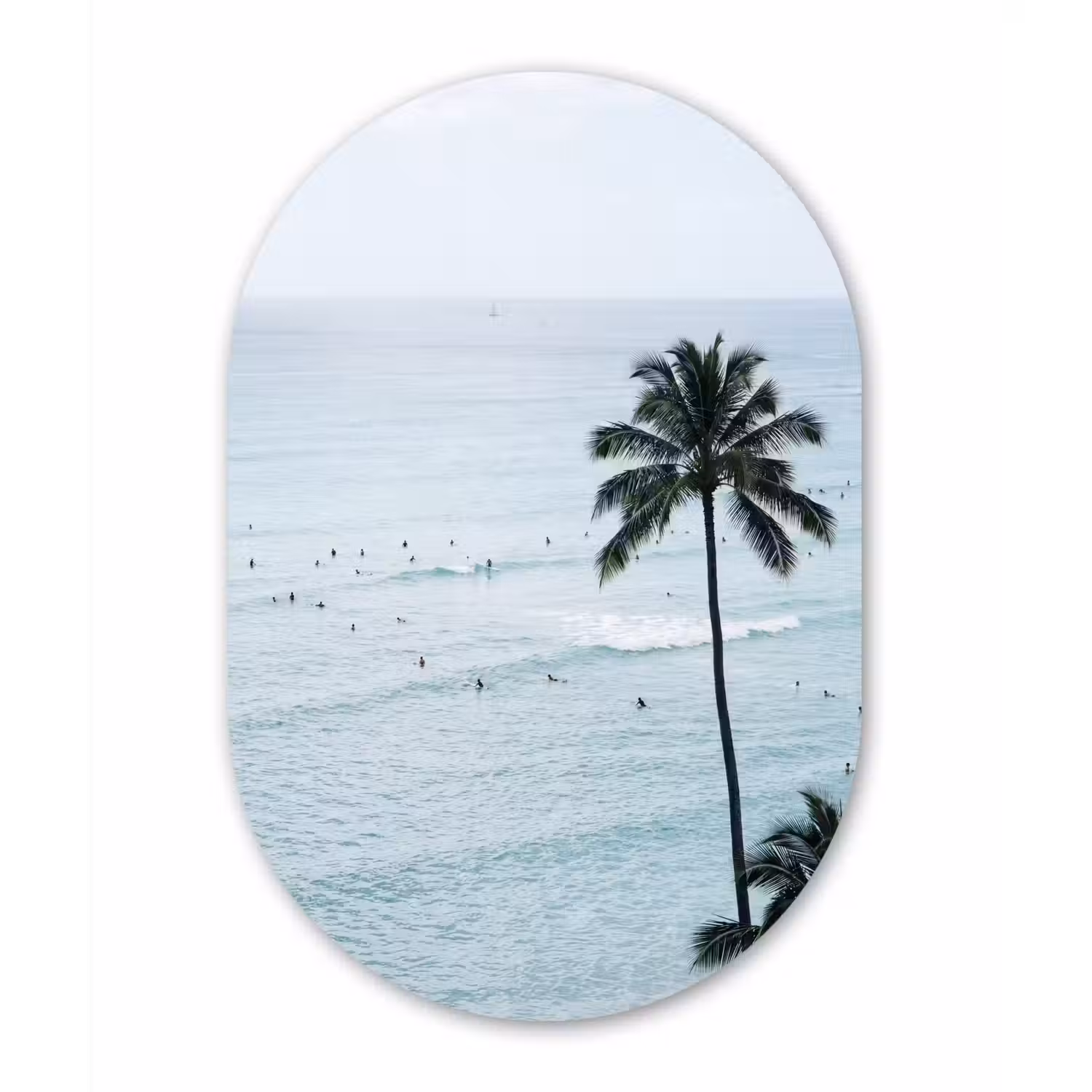 Oceaan - Palmbomen - Surfers Wandcirkel Ovaal Forex klein -3d