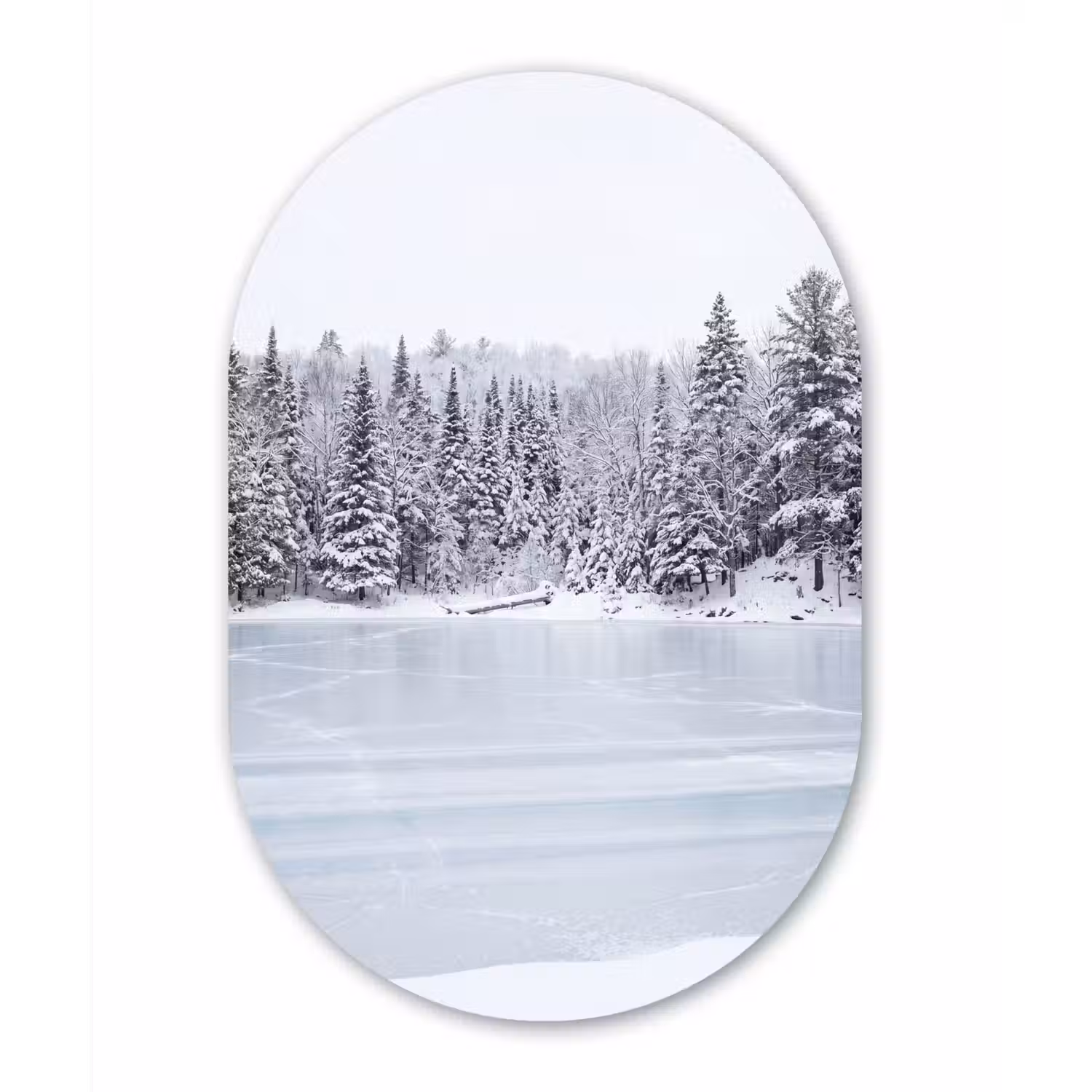 Meer - Dennen - IJs - Winter - Rustgevend Wandcirkel Ovaal Forex klein -3d