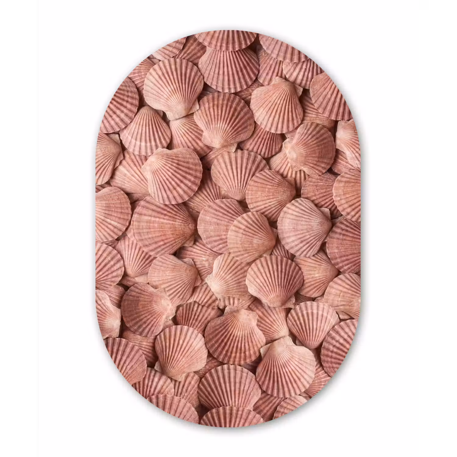 Schelpen - Patroon - Roze Wandcirkel Ovaal Forex klein -3d