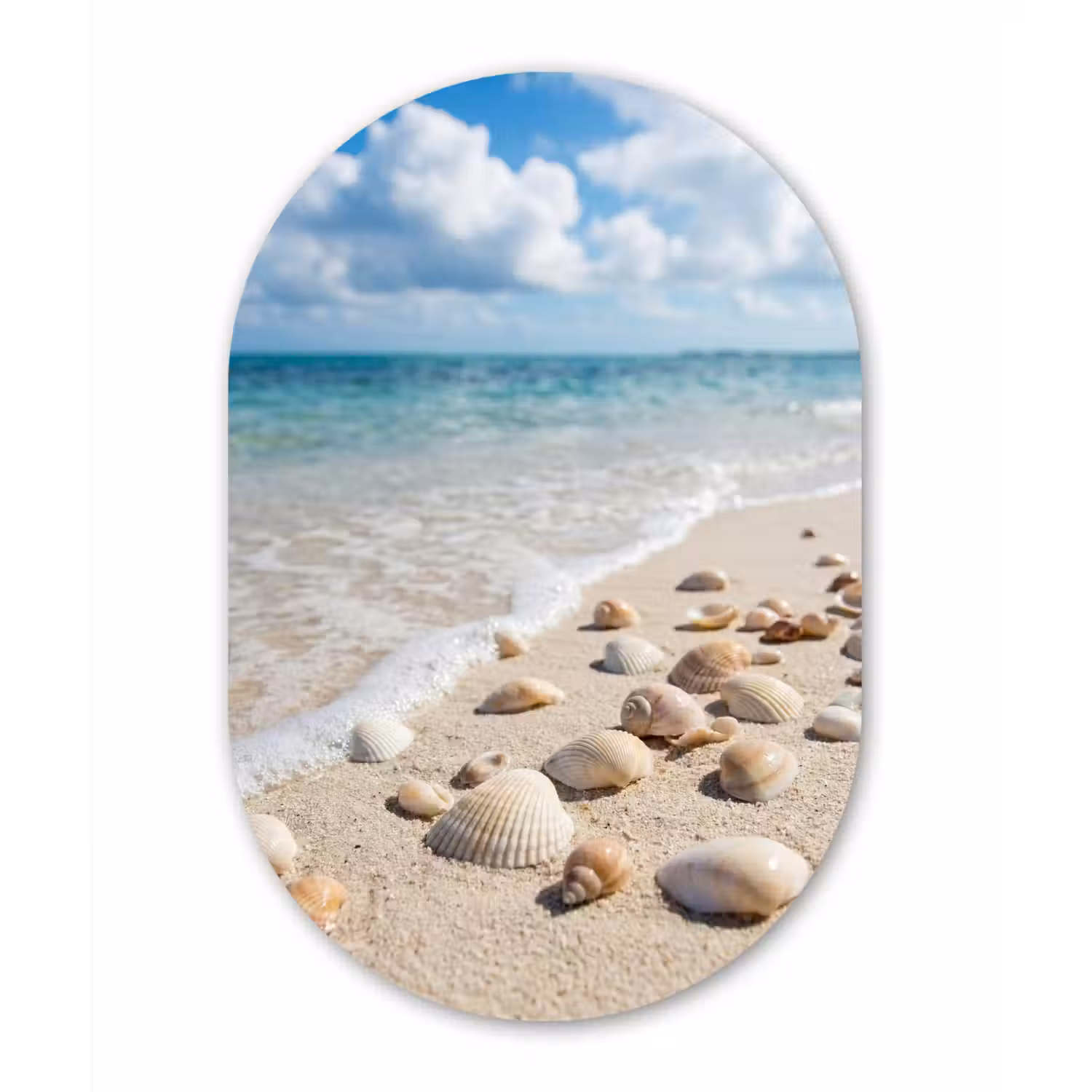 Schelpen - Strand - Natuur - Beige Wandcirkel Ovaal Forex klein -3d
