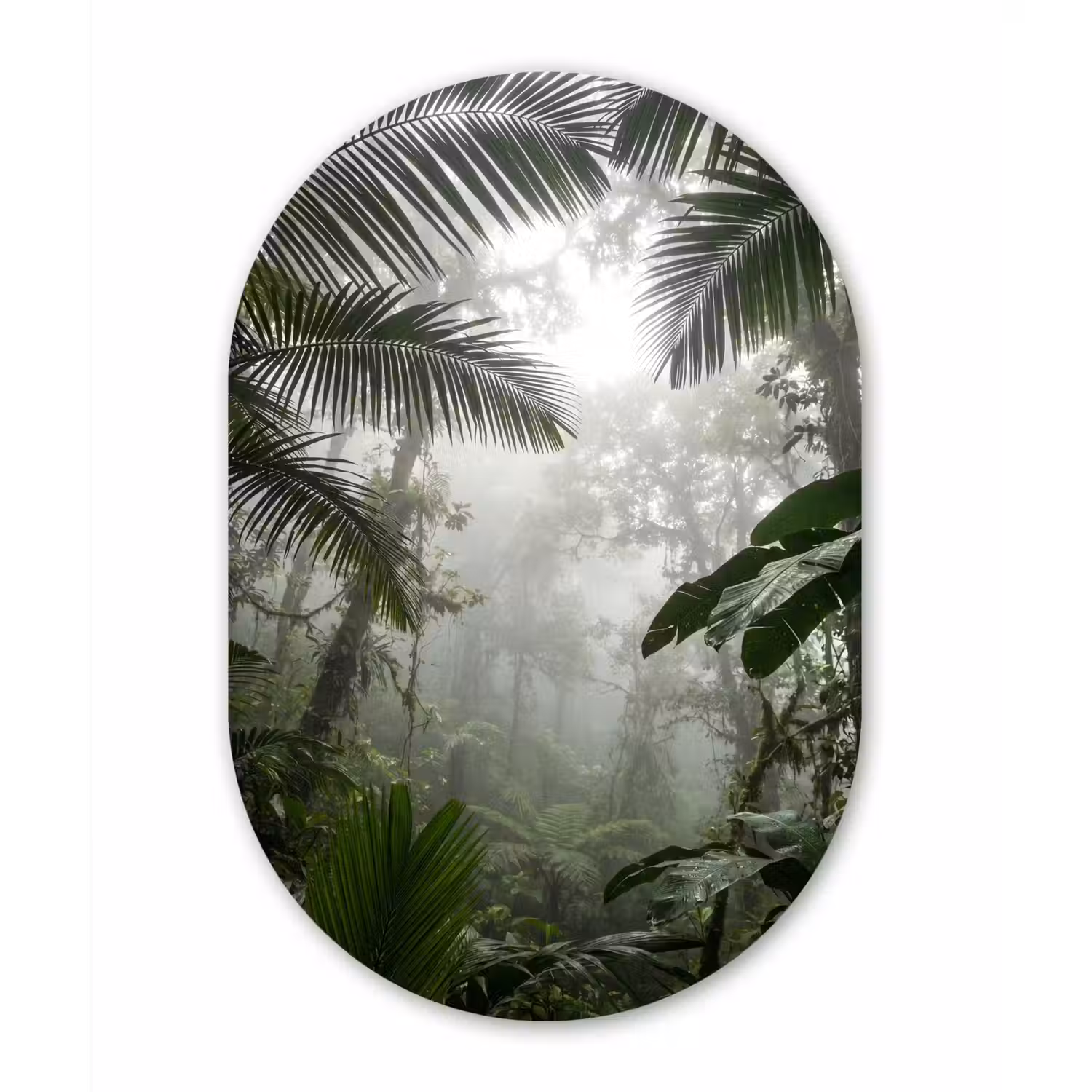Natuur - Jungle - Mist - Groen - Bladeren Wandcirkel Ovaal Forex klein -3d