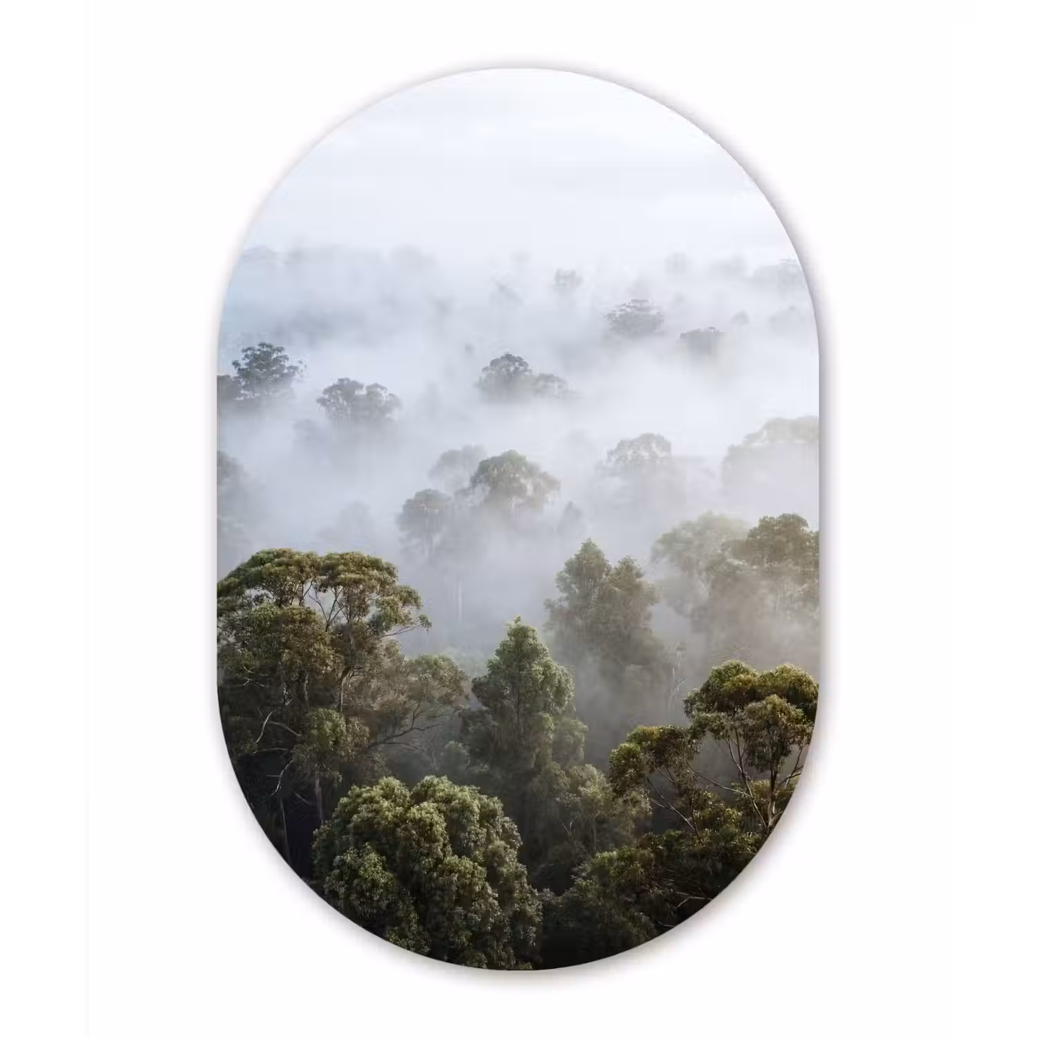 Natuur - Mist - Bos - Ochtend - Goud Wandcirkel Ovaal Forex klein -3d
