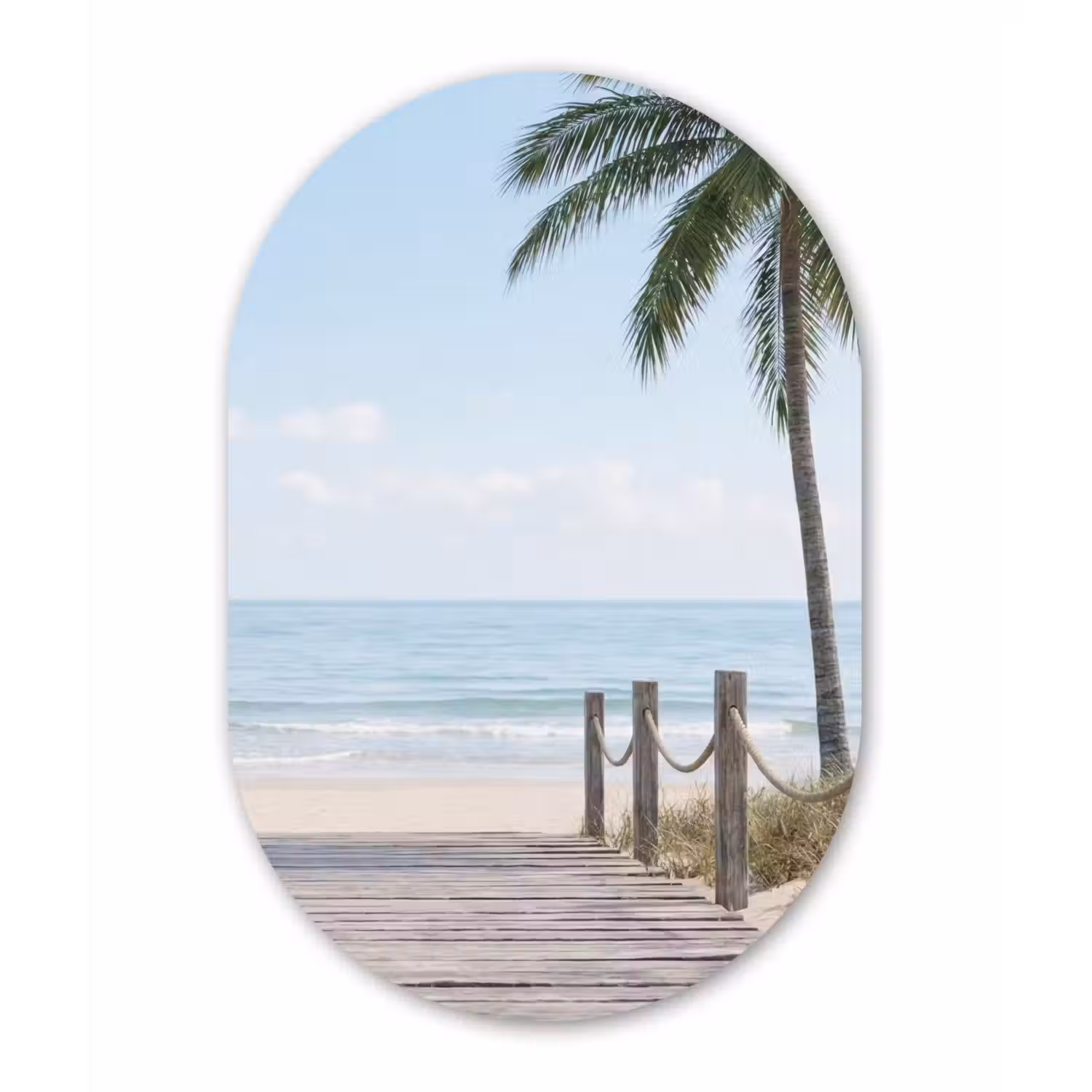 Palmbomen - Pad - Horizon Wandcirkel Ovaal Forex klein -3d