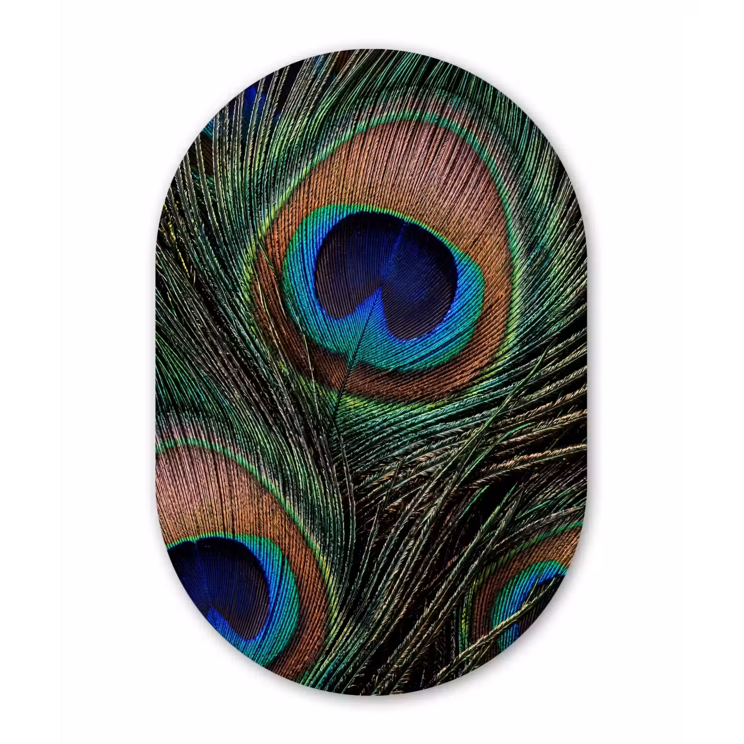 Pauwenveren - Klassiek - Groen Wandcirkel Ovaal Forex klein -3d