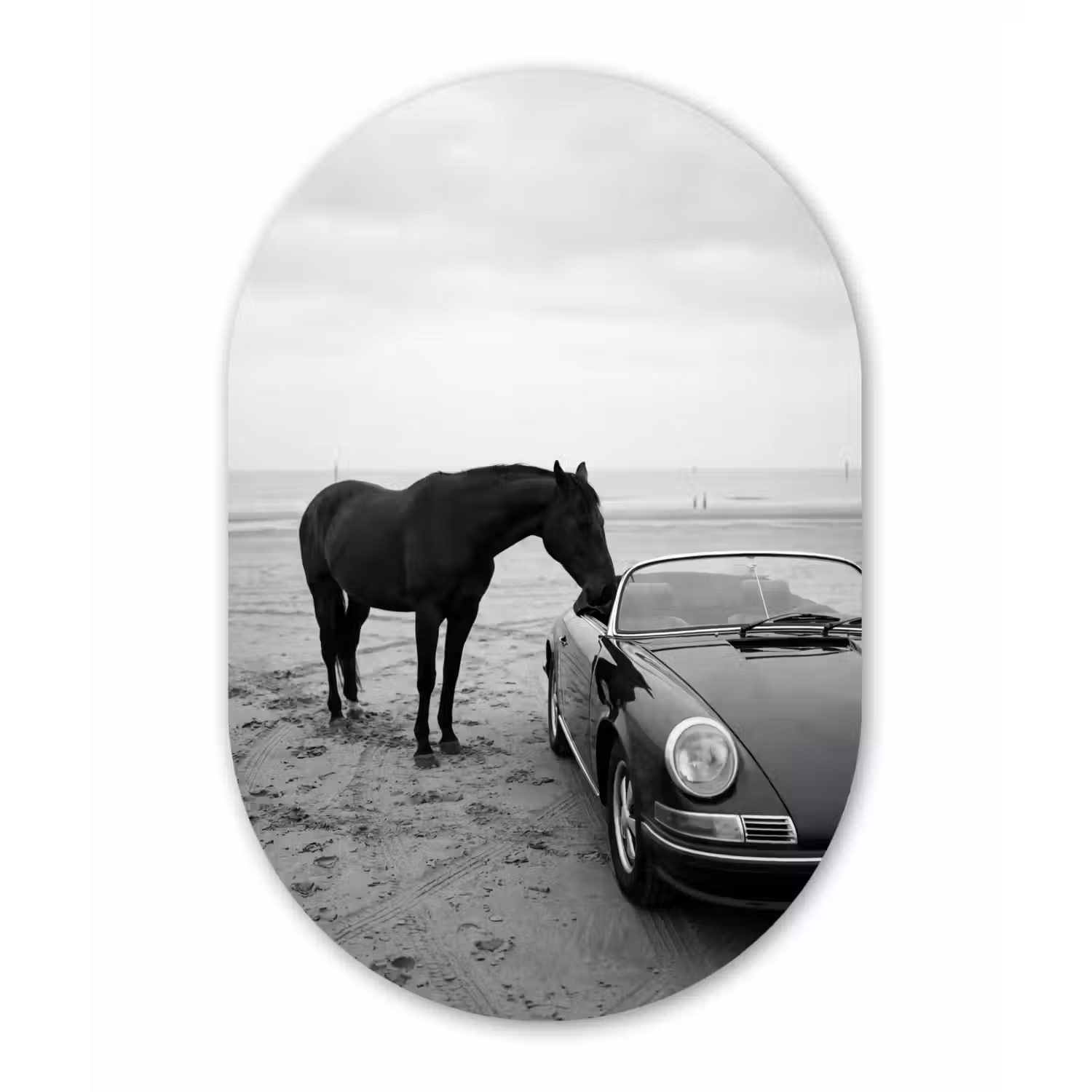 Paard - Auto - Zwart - Wit Wandcirkel Ovaal Forex klein -3d