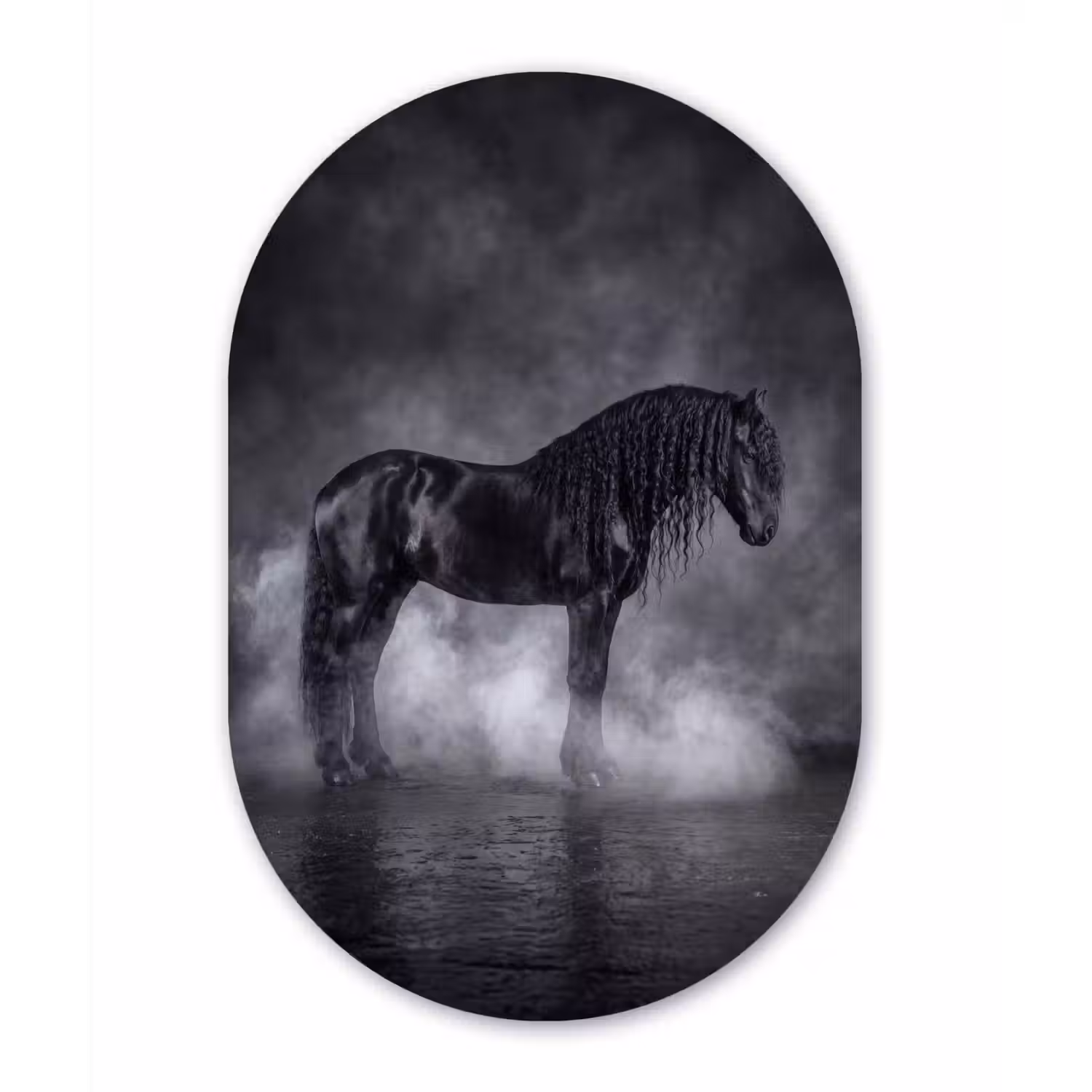 Paard - Magisch - Zwart Wandcirkel Ovaal Forex klein -3d