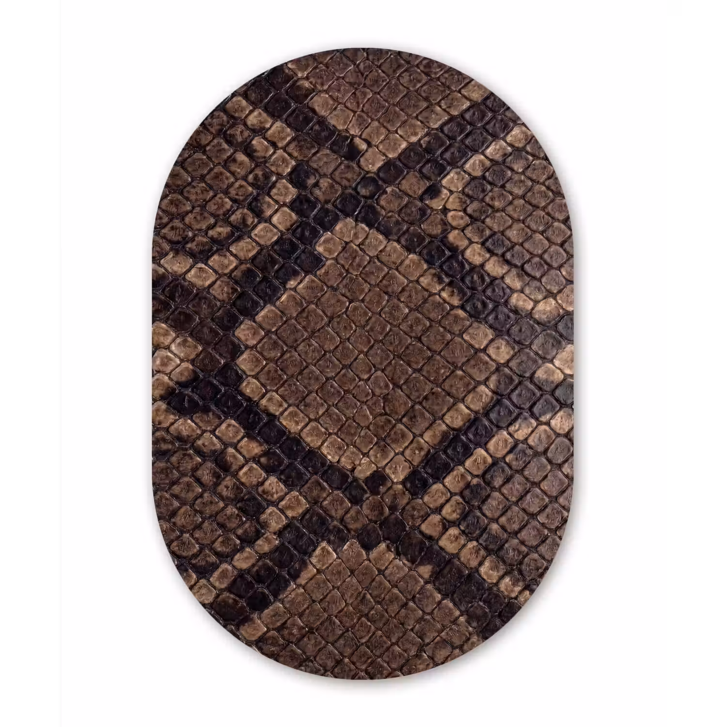 Python - Schubben - Brons Wandcirkel Ovaal Forex klein -3d