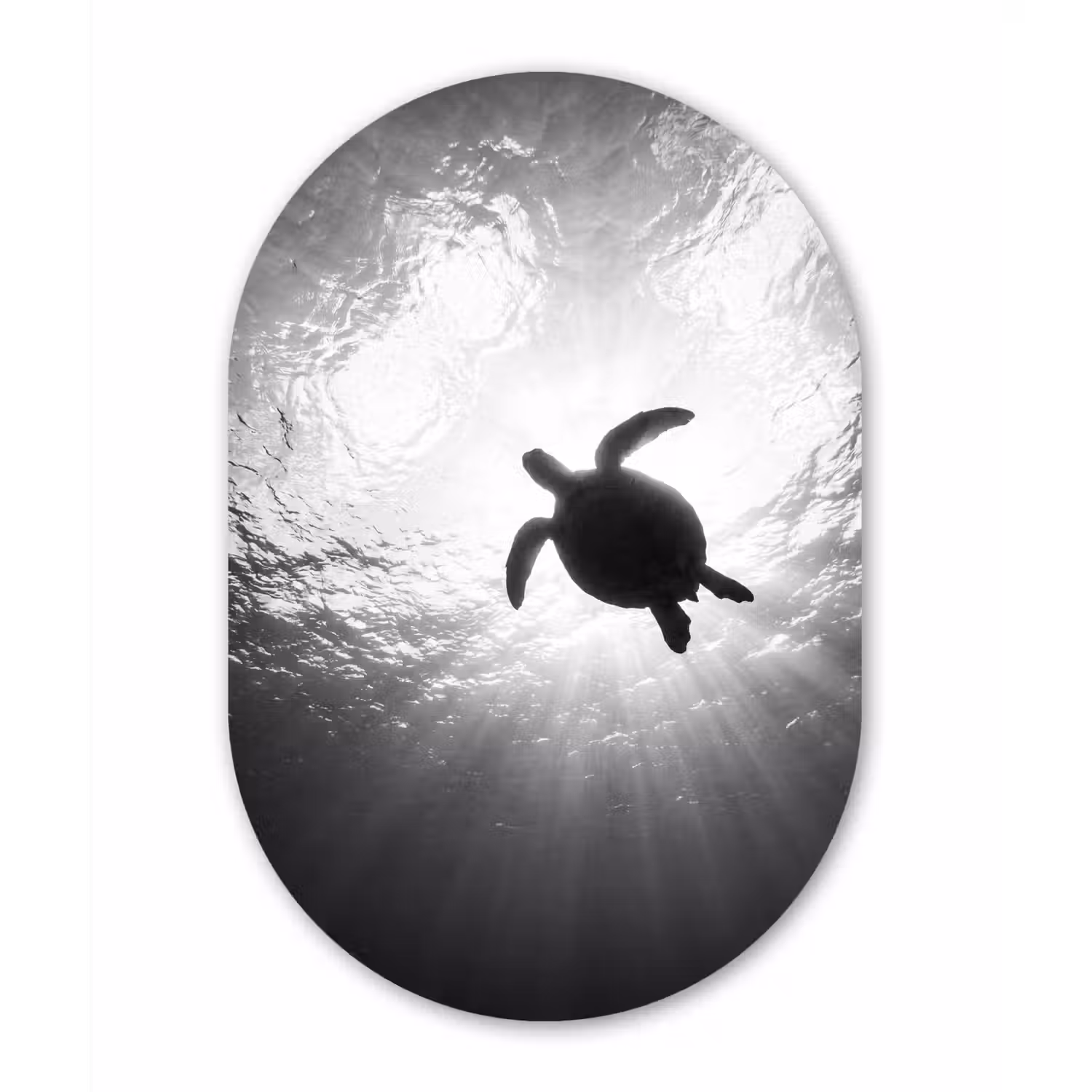 Schildpad - Onderwater - Lichtstralen - Oceaan - Zwart-wit Wandcirkel Ovaal Forex klein -3d