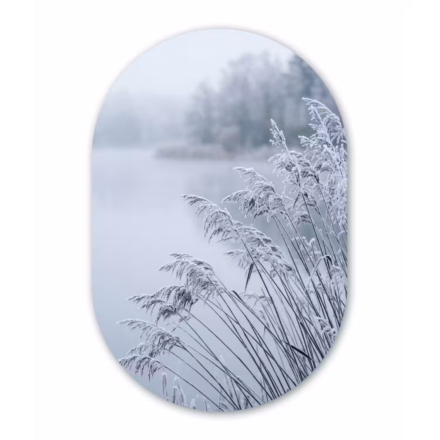 Riet - Bevroren - Winter - Natuur Wandcirkel Ovaal Forex klein -3d