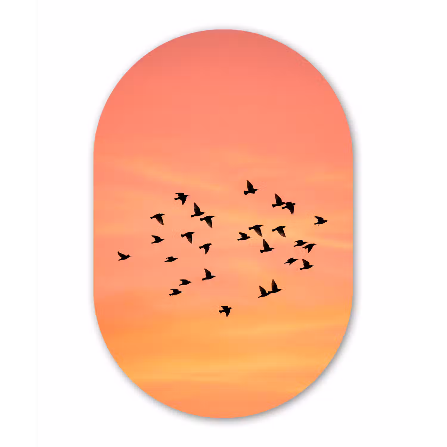 Zwerm - Vogels - Oranje Wandcirkel Ovaal Forex klein -3d