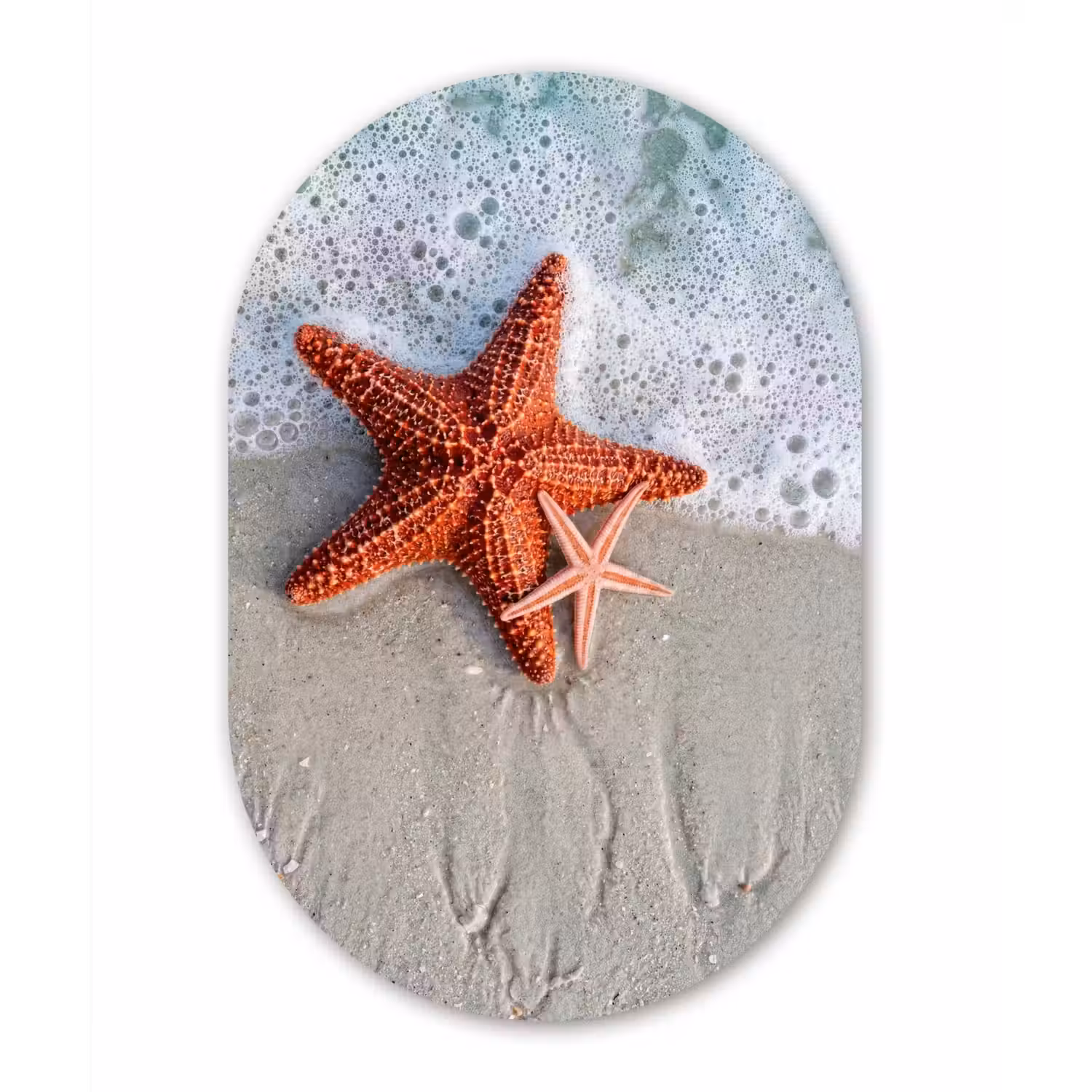 Zeester - Strand - Zee Wandcirkel Ovaal Forex klein -3d