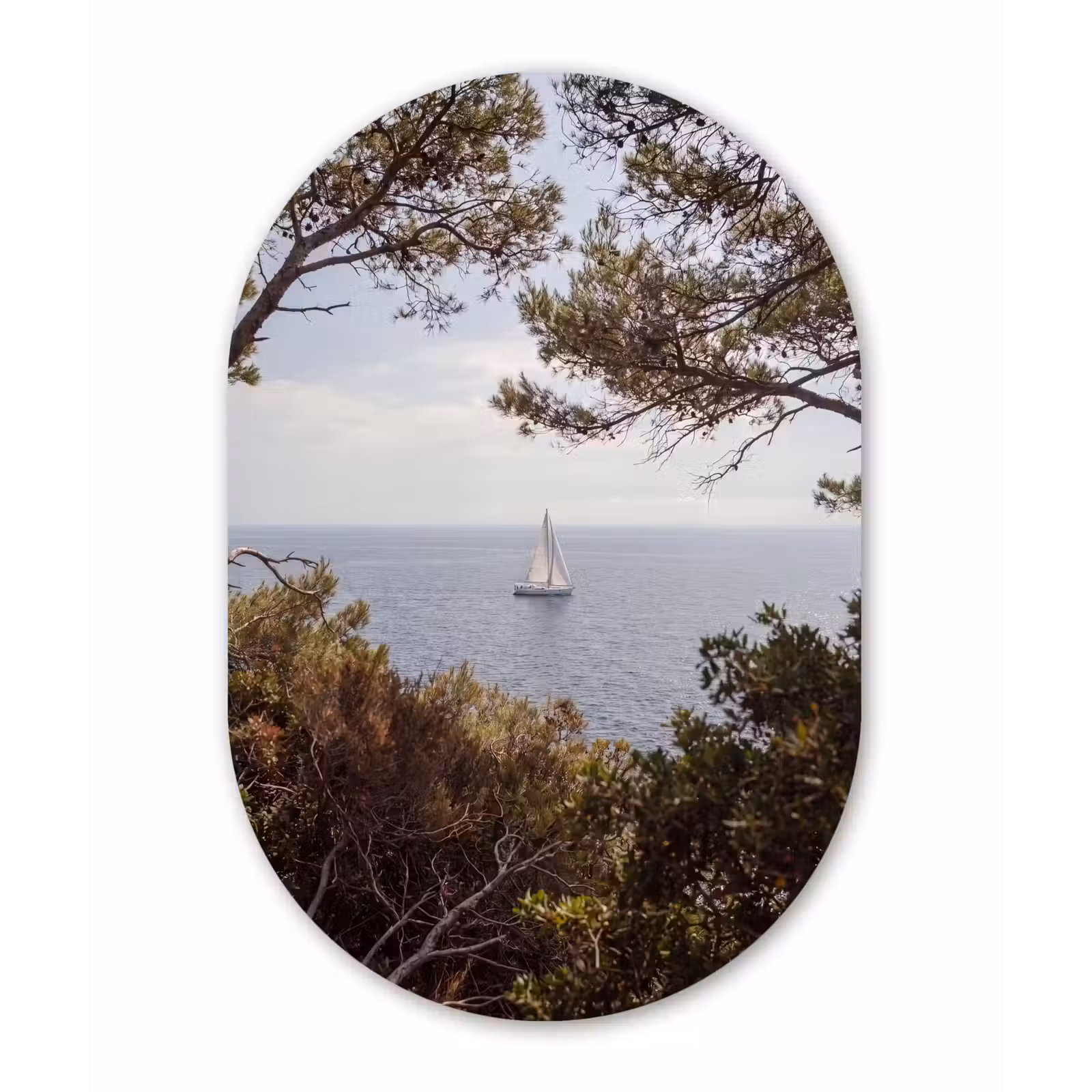 Forexbild Oval - Segelboot – Bäume – Wasser - Zeilboot - bomen - water Wandcirkel Ovaal Forex klein
