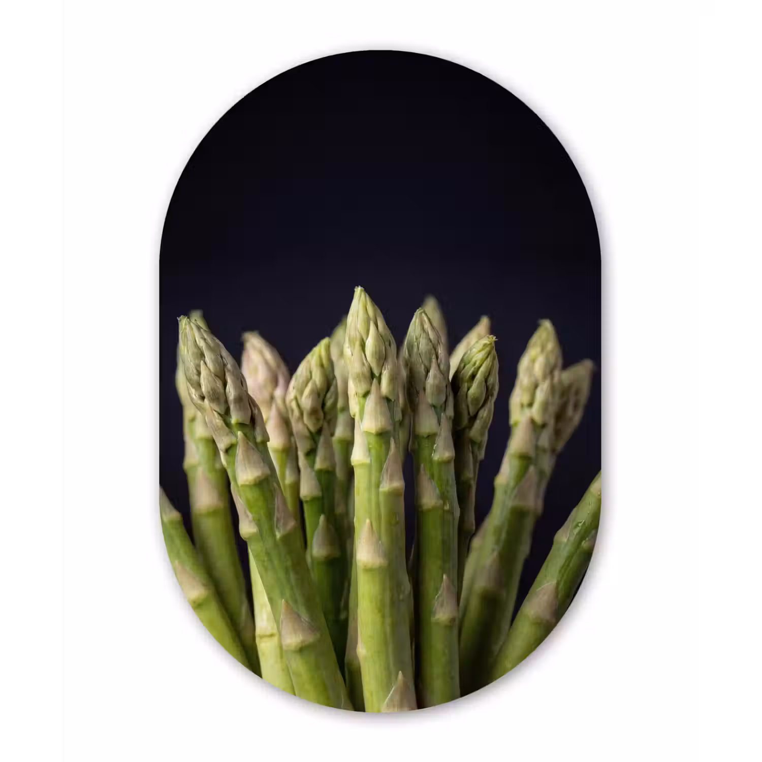 Asperges - Groen - Zwart Wandcirkel Ovaal Forex klein -3d