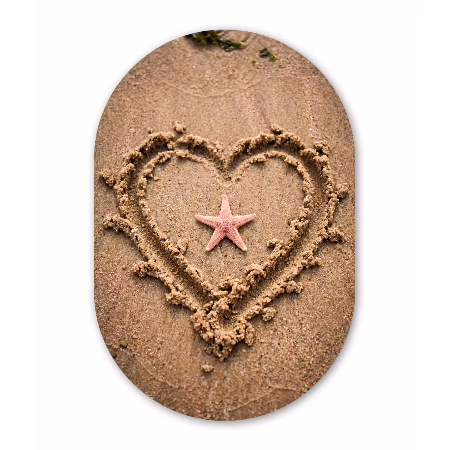 Dieren - Hart - Strand - Zand - Roze Wandcirkel Ovaal Forex klein -3d