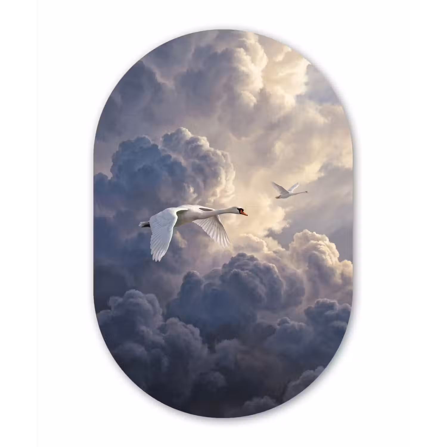 Vogel - Vliegend - Natuur - Wit - Wolken Wandcirkel Ovaal Forex klein -3d