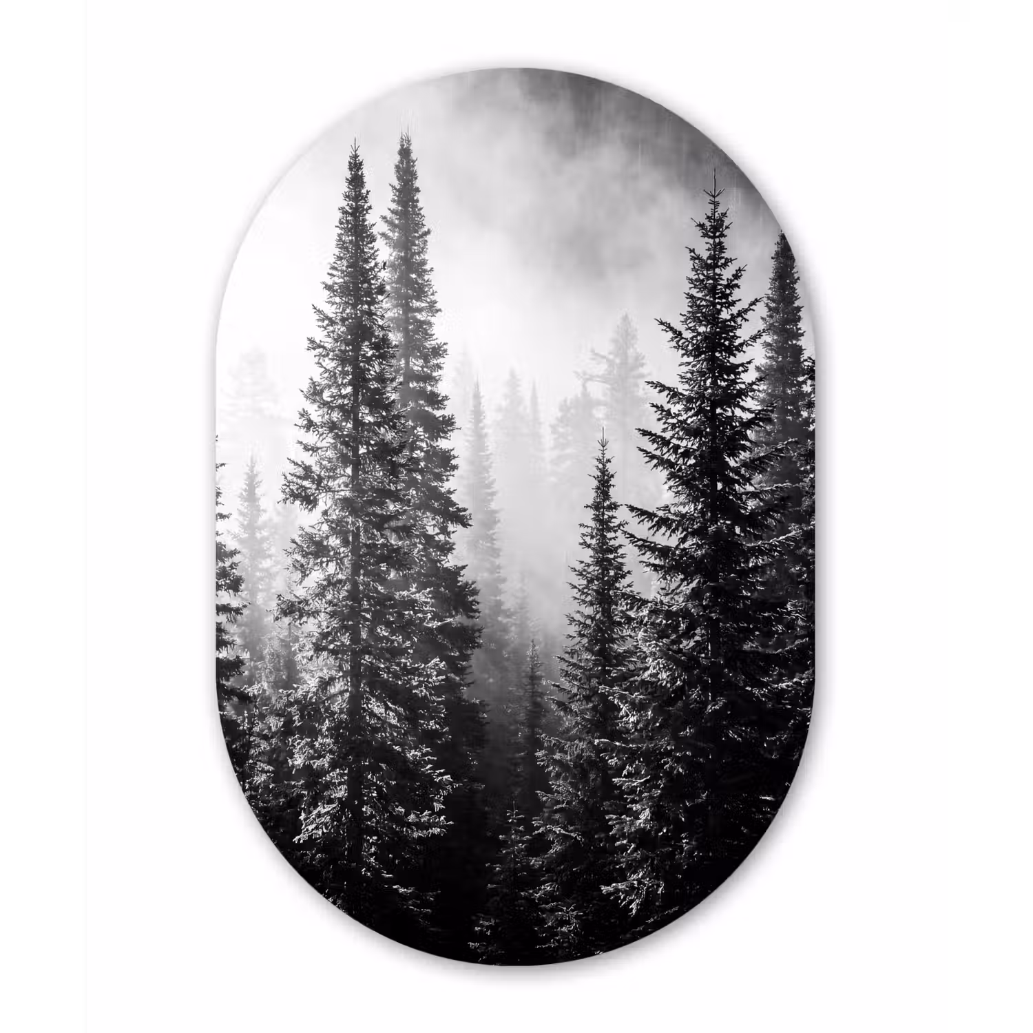 Bos - Mist - Winter - Monochroom - Natuur Wandcirkel Ovaal Forex klein -3d